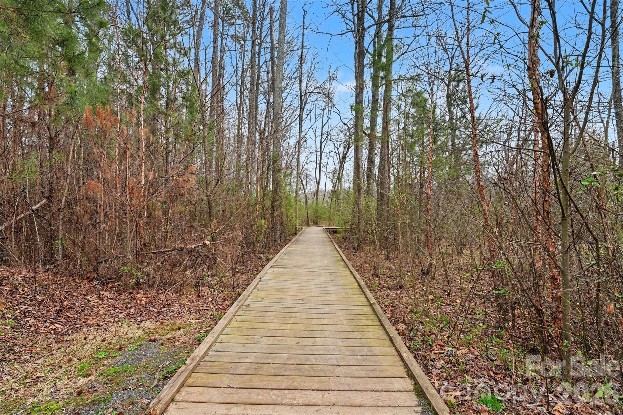 The Preserve At Riverchase - Residential