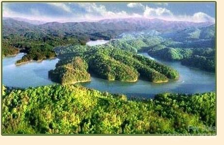 Fontana Lake Estates - Land