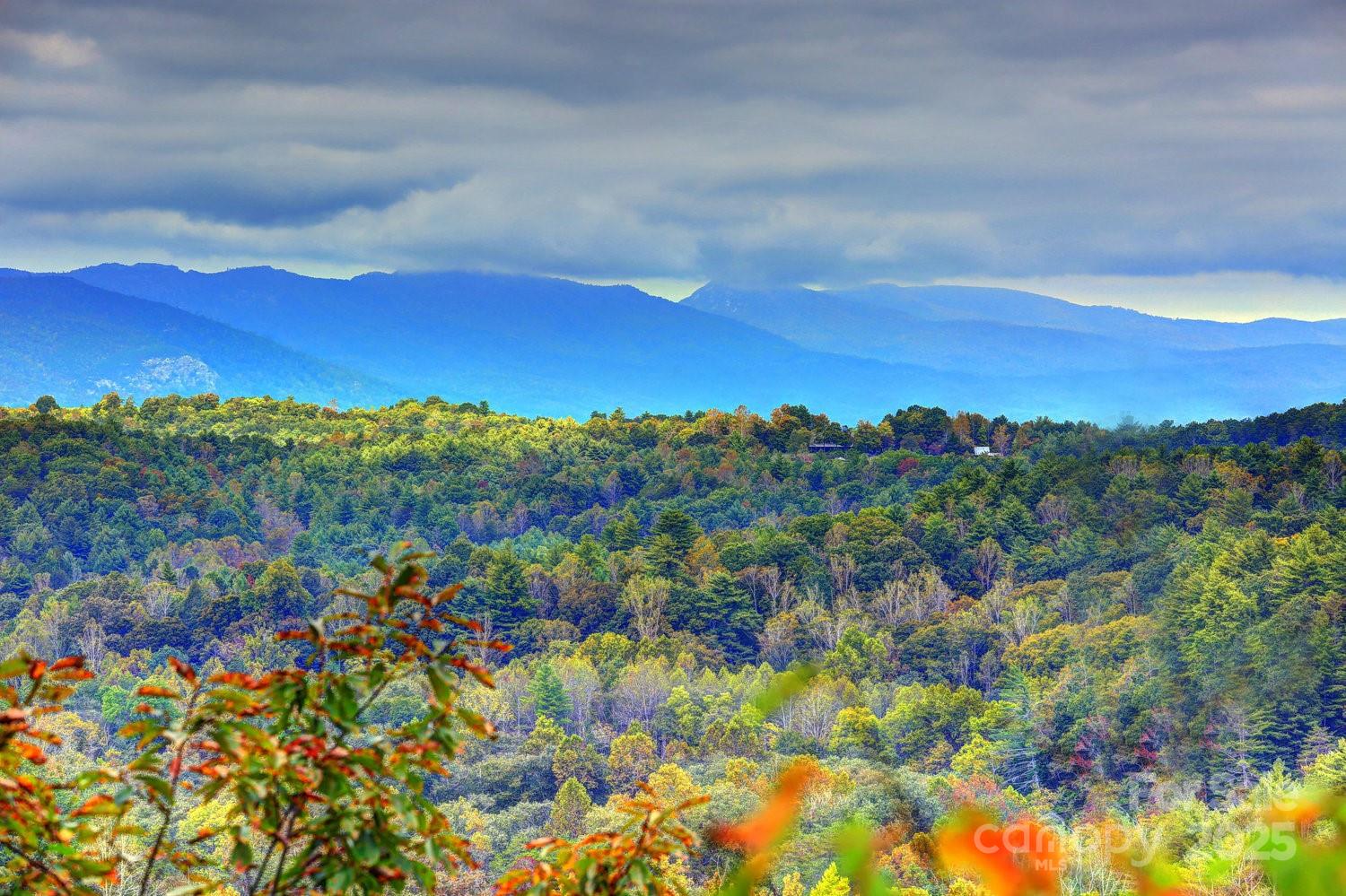 Catawba River Club - Land