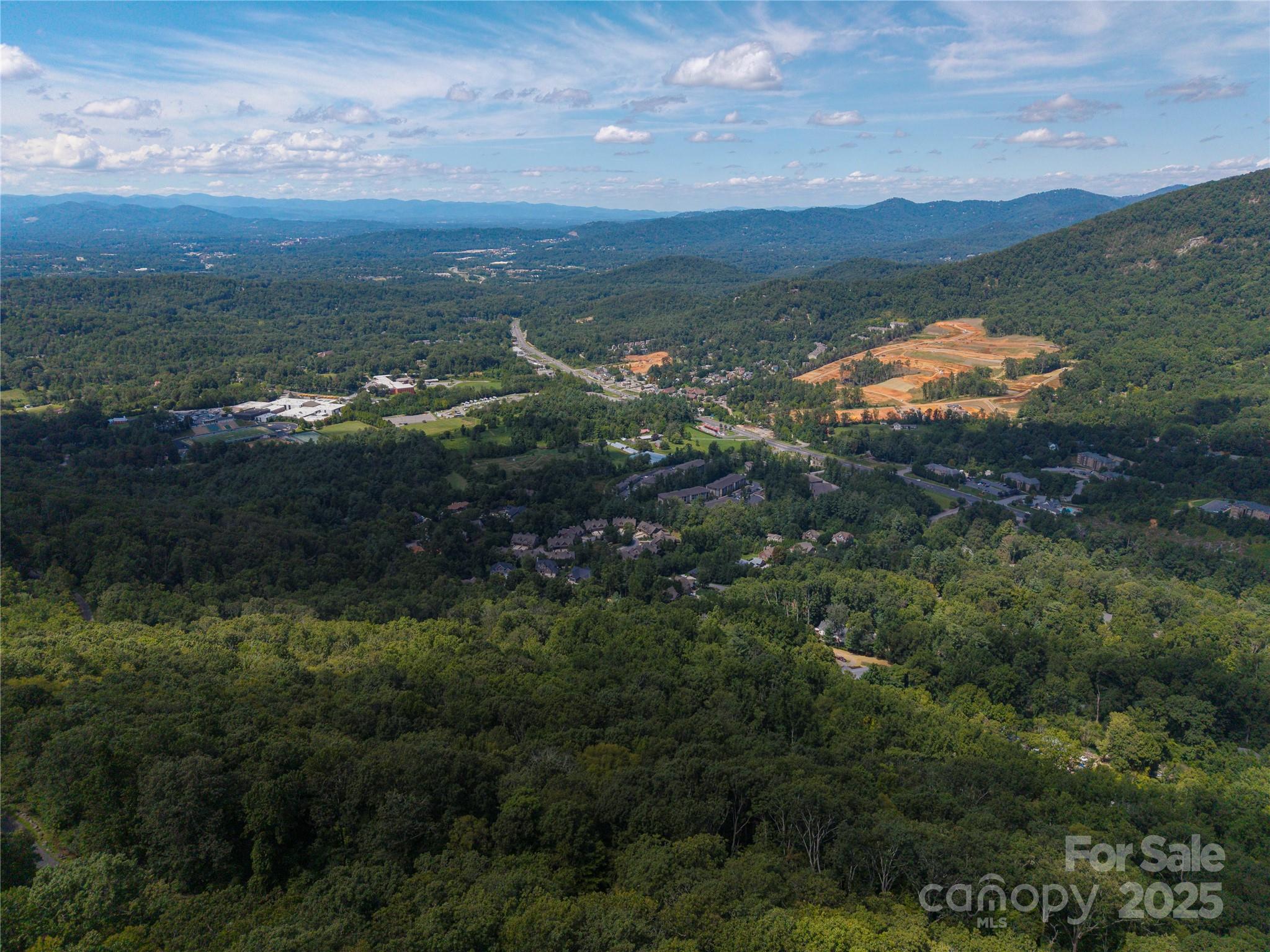 Looking for wooded privacy and great views? This lot has both. Come build the home of your dreams or a spec home to dazzle any buyers. Chestnut Mountain subdivision offers parkway-like roads, hiking trails, picnic areas, and private homesites... all only 15 minutes to downtown Asheville and convenient to the Blue Ridge Parkway and interstate access. Property is subject to steep slope regulations. Schedule your showing today!