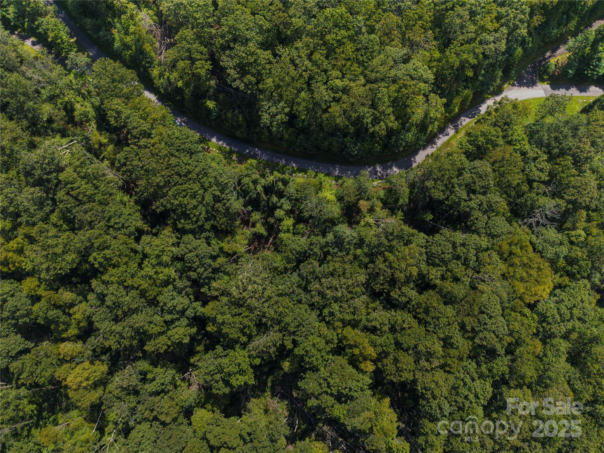 Chestnut Mountain - Land