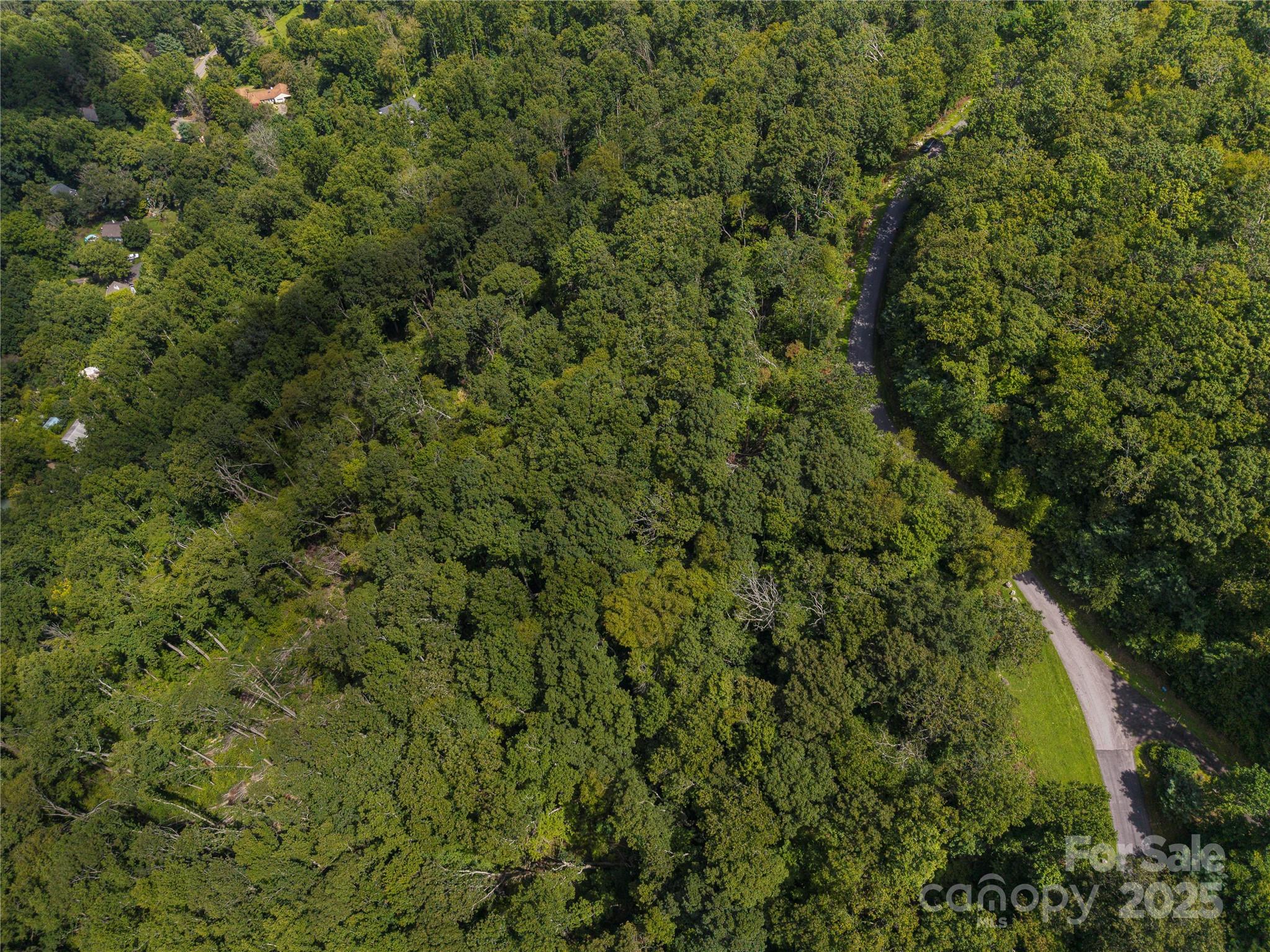 Chestnut Mountain - Land