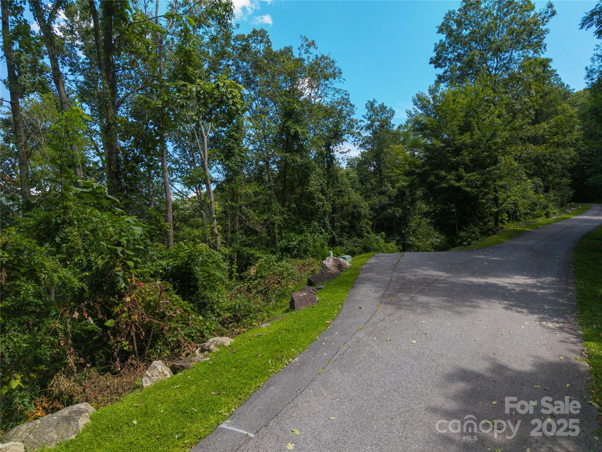 Chestnut Mountain - Land