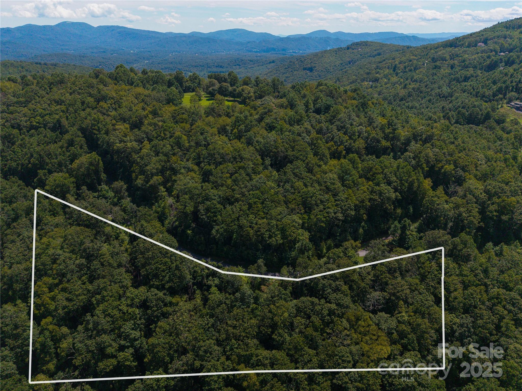 Chestnut Mountain - Land