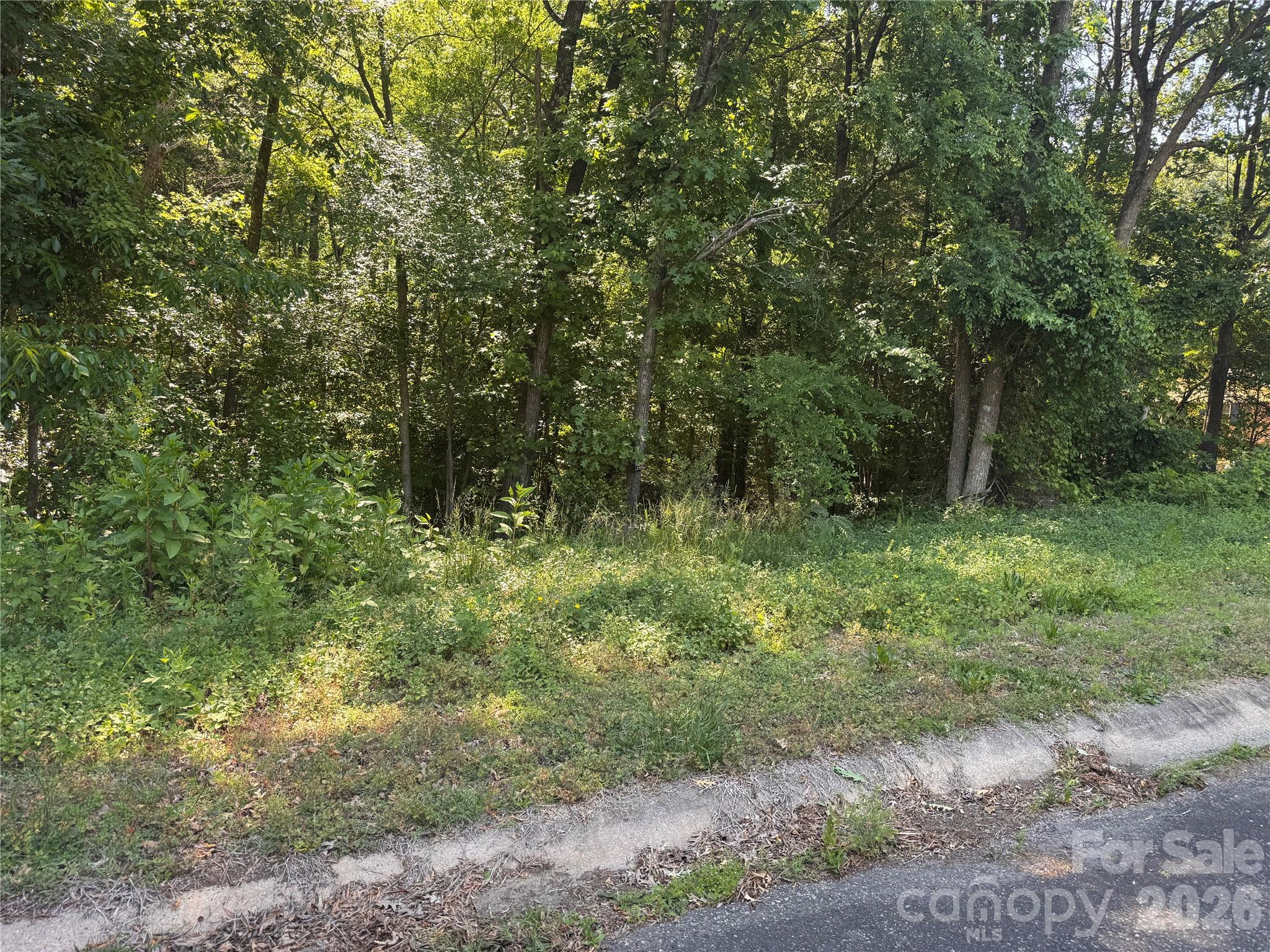 Discover the perfect setting for your dream home on this beautiful 1.54-acre wooded lot offering privacy, natural scenery, and a sloping topography ideal for a basement build. Located in an established area with mature surroundings and a peaceful setting, this property provides the opportunity to create a custom home surrounded by trees while still enjoying plenty of usable space. A previous perk test was completed in 2020 and is available upon request, though it has expired. Whether you are looking to build now or invest for the future, this lot offers endless potential in a serene location.