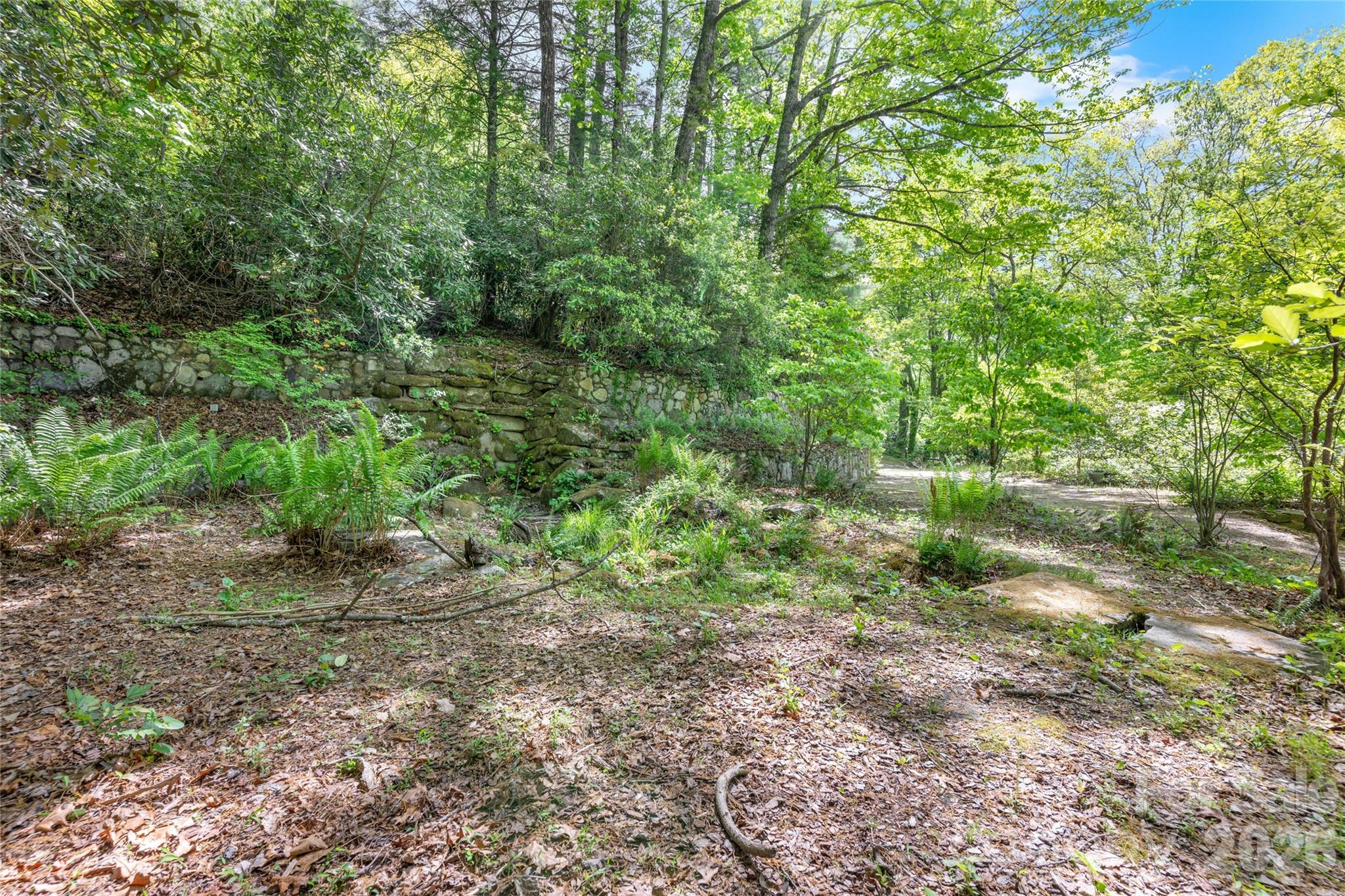 Lake Toxaway Estates - Land