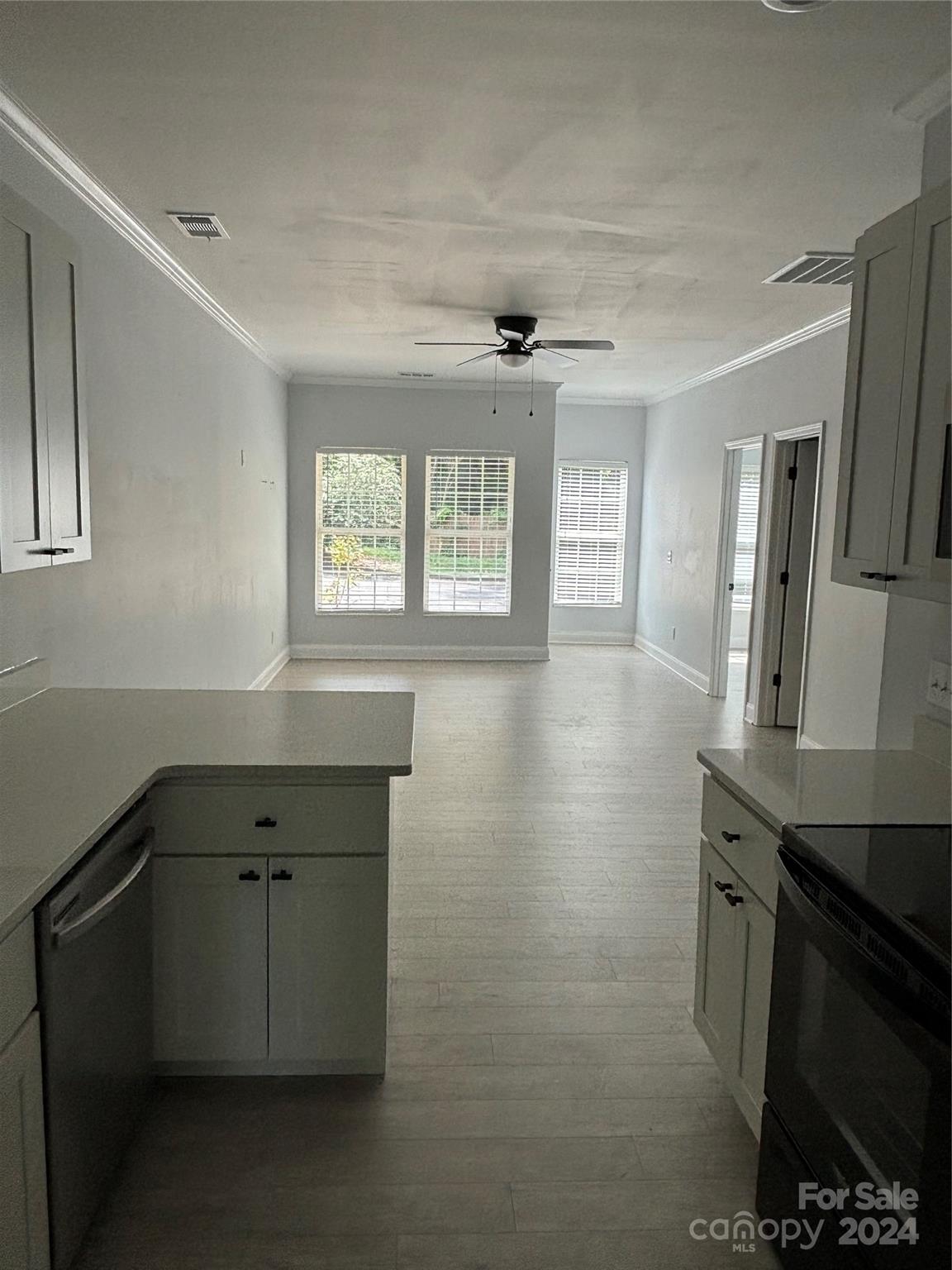Old Towne Village - Residential