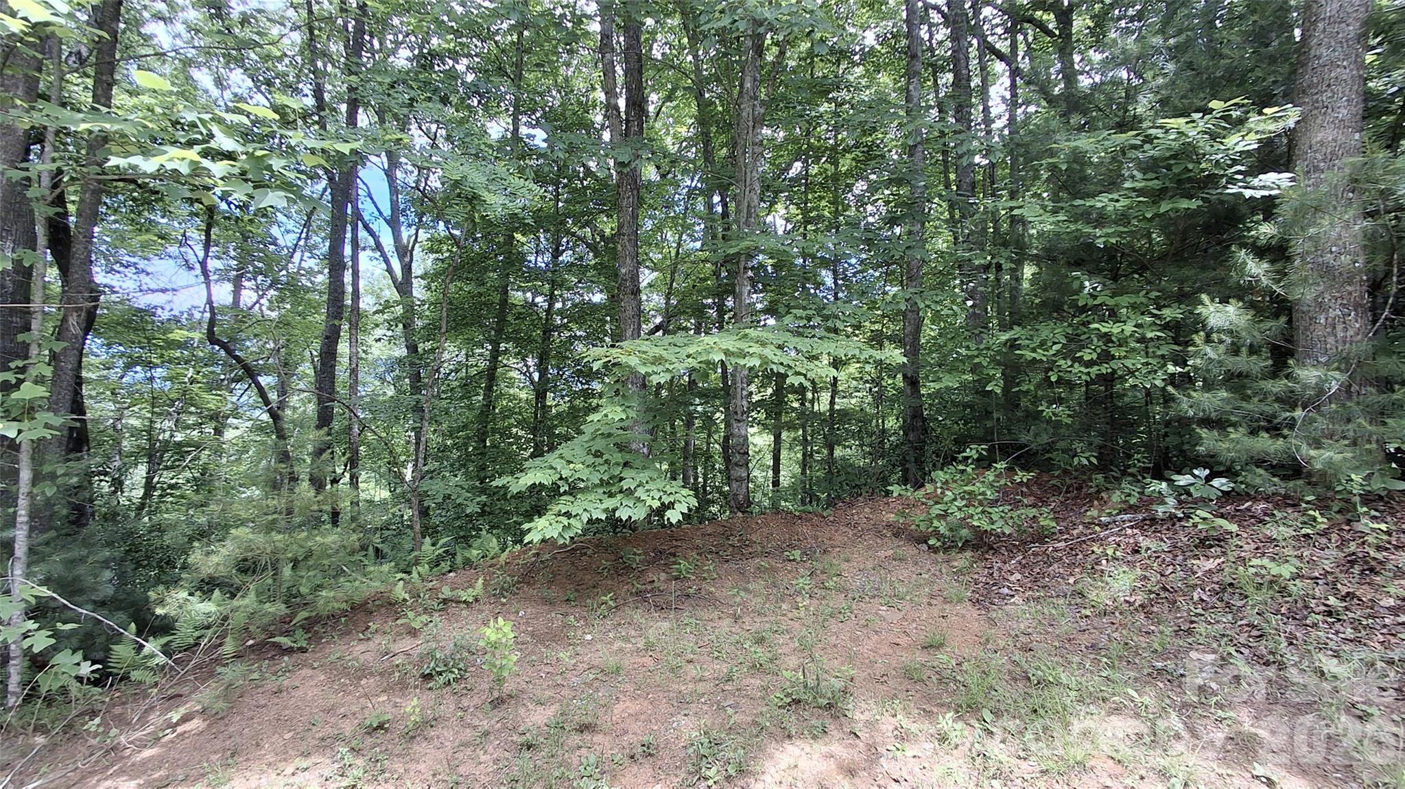 Beechwood - Land