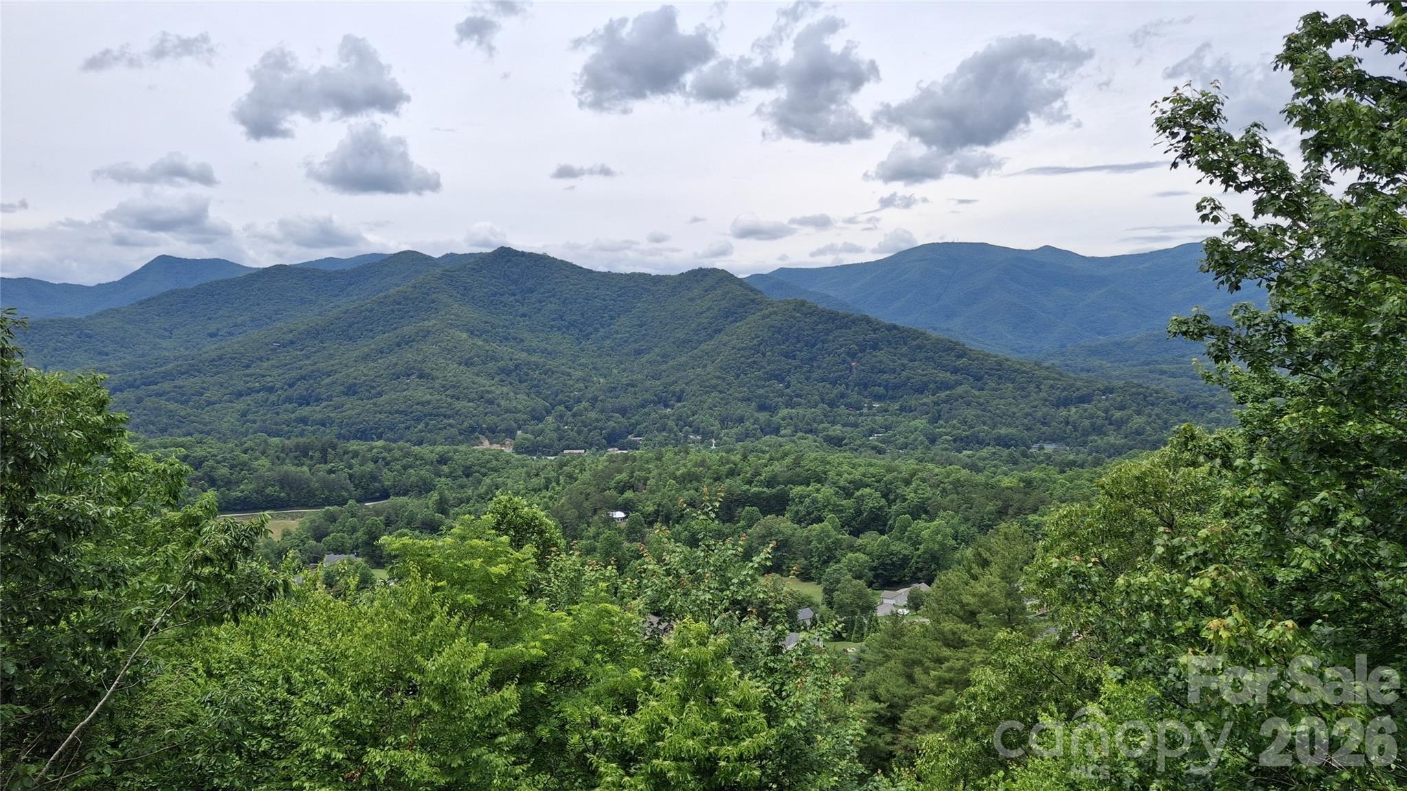 Beechwood - Land
