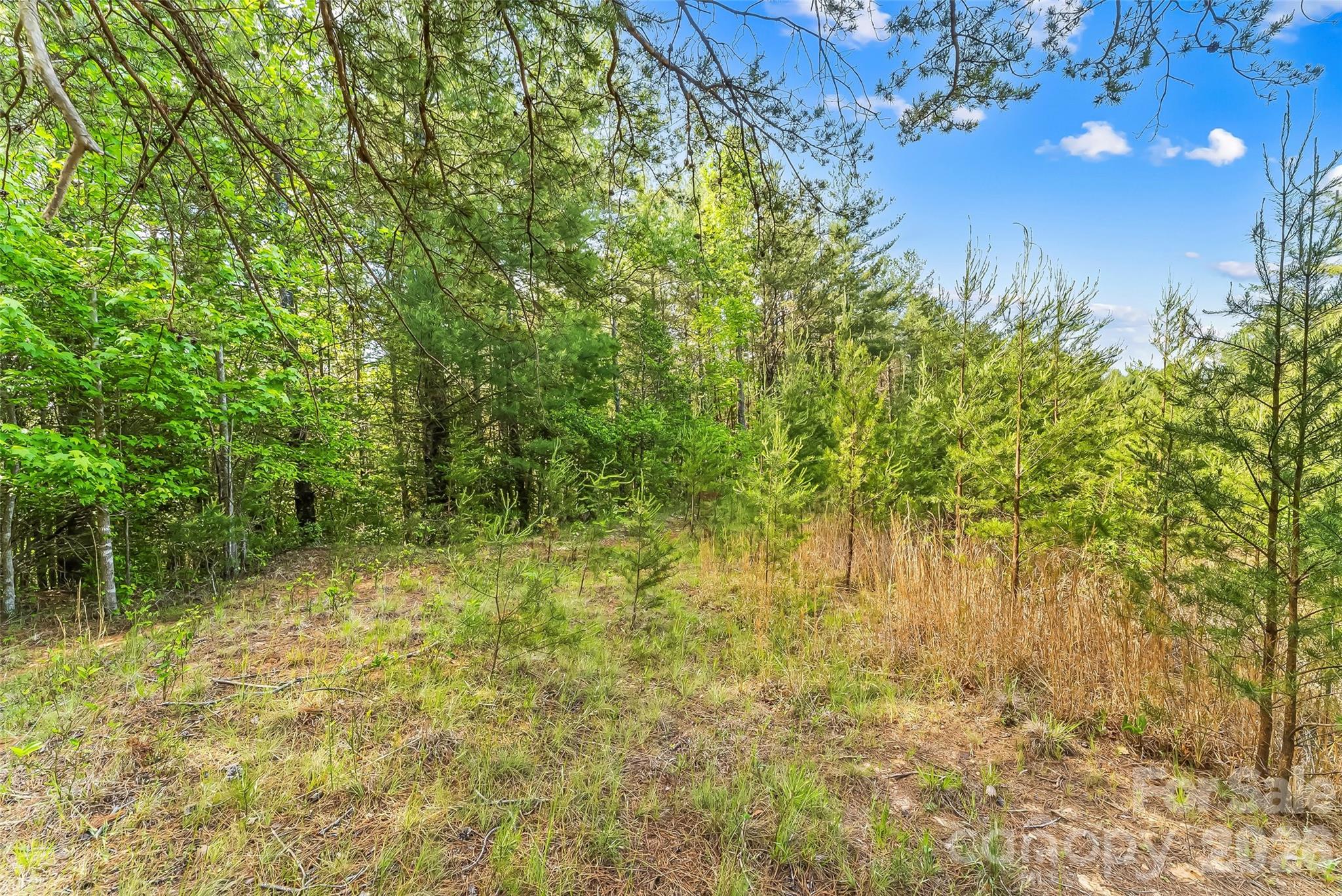 The Enclave at Lake James - Land