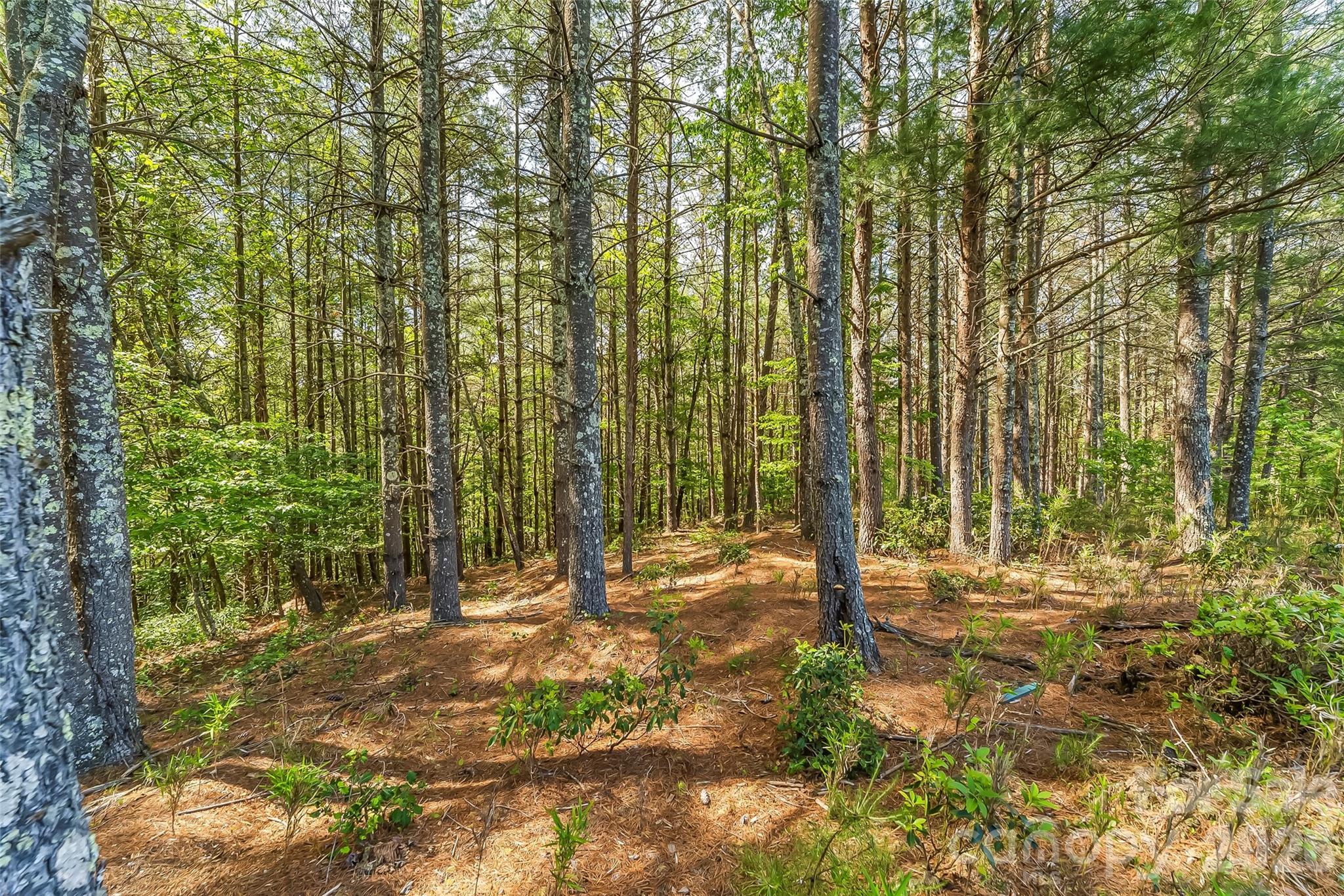 The Enclave at Lake James - Land