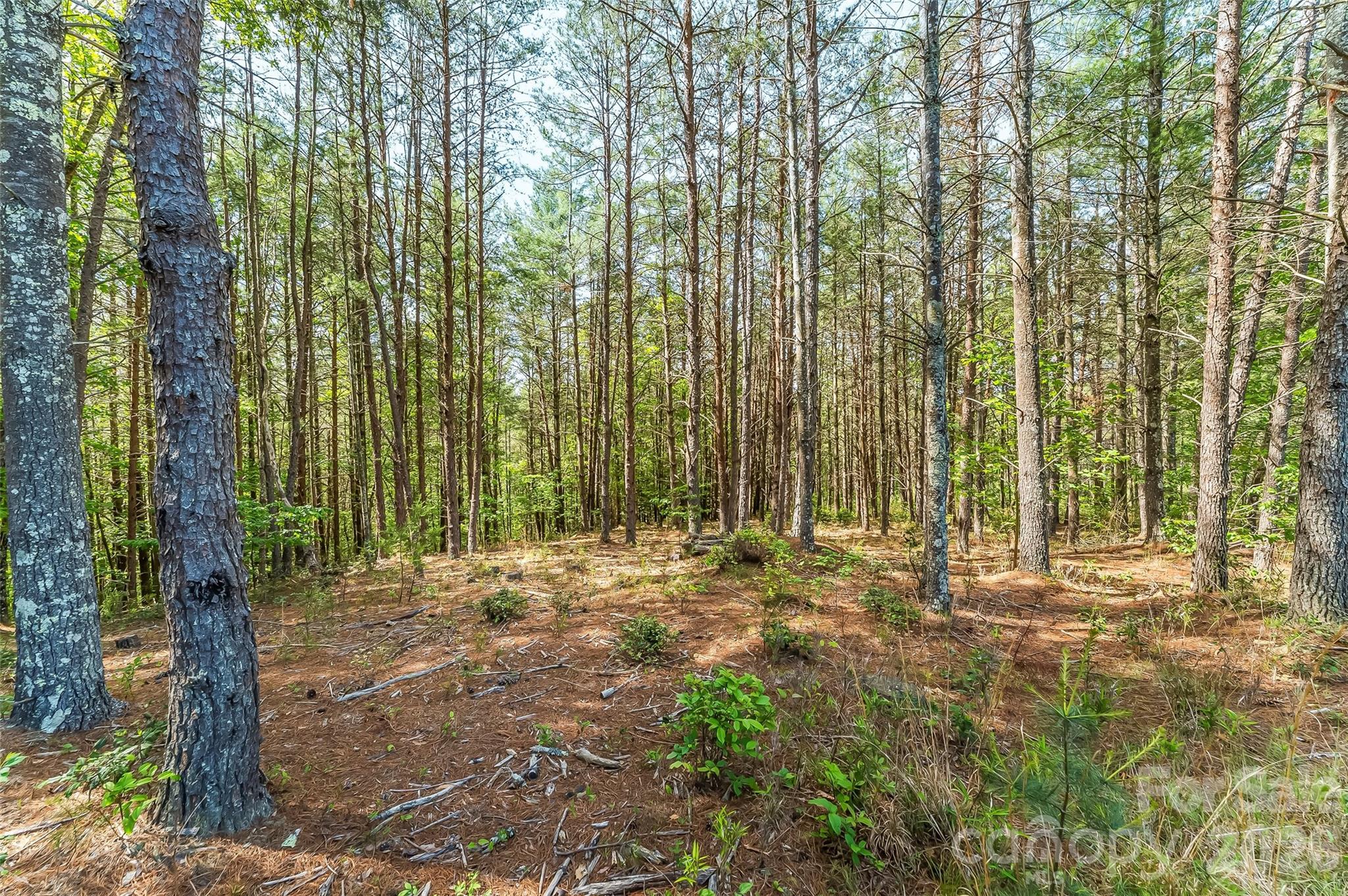 The Enclave at Lake James - Land