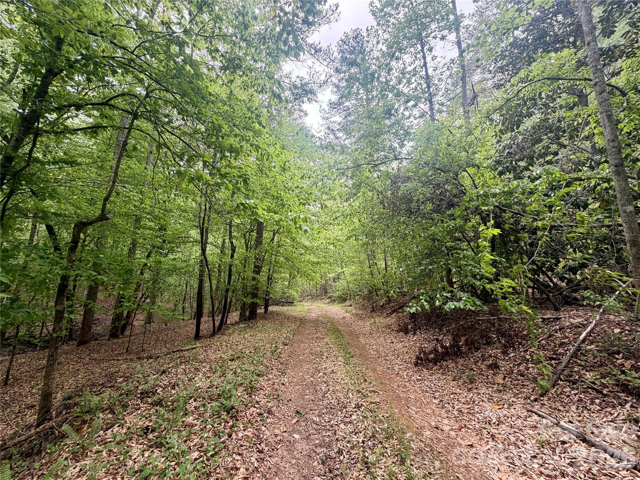 22.25± acres located in a highly sought-after area of Polk County with a portion extending into Rutherford County. This versatile tract offers excellent road frontage and features an existing rough road through the property—ideal for showing and exploring multiple potential homesites. The topography is well-suited for a variety of building options. A beautiful mix of mature hardwoods and pines adds both value and natural appeal. No restrictions, offering flexibility for residential, recreational, or investment use. Rare opportunity to secure acreage in a desirable location with easy access and strong potential. Approximately 10 miles to the Tryon International Equestrian Center, approximately 10 miles to Rutherfordton, and approximately 16 miles to Forest City.