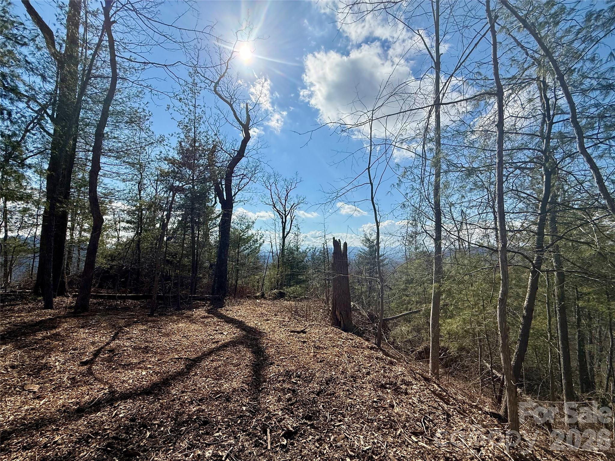 Fox Trails - Land