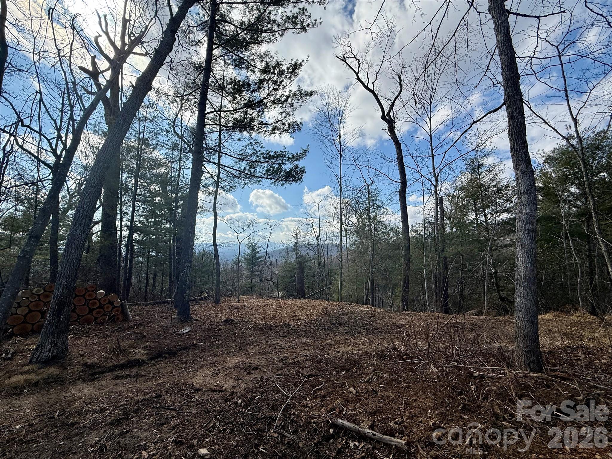 Fox Trails - Land