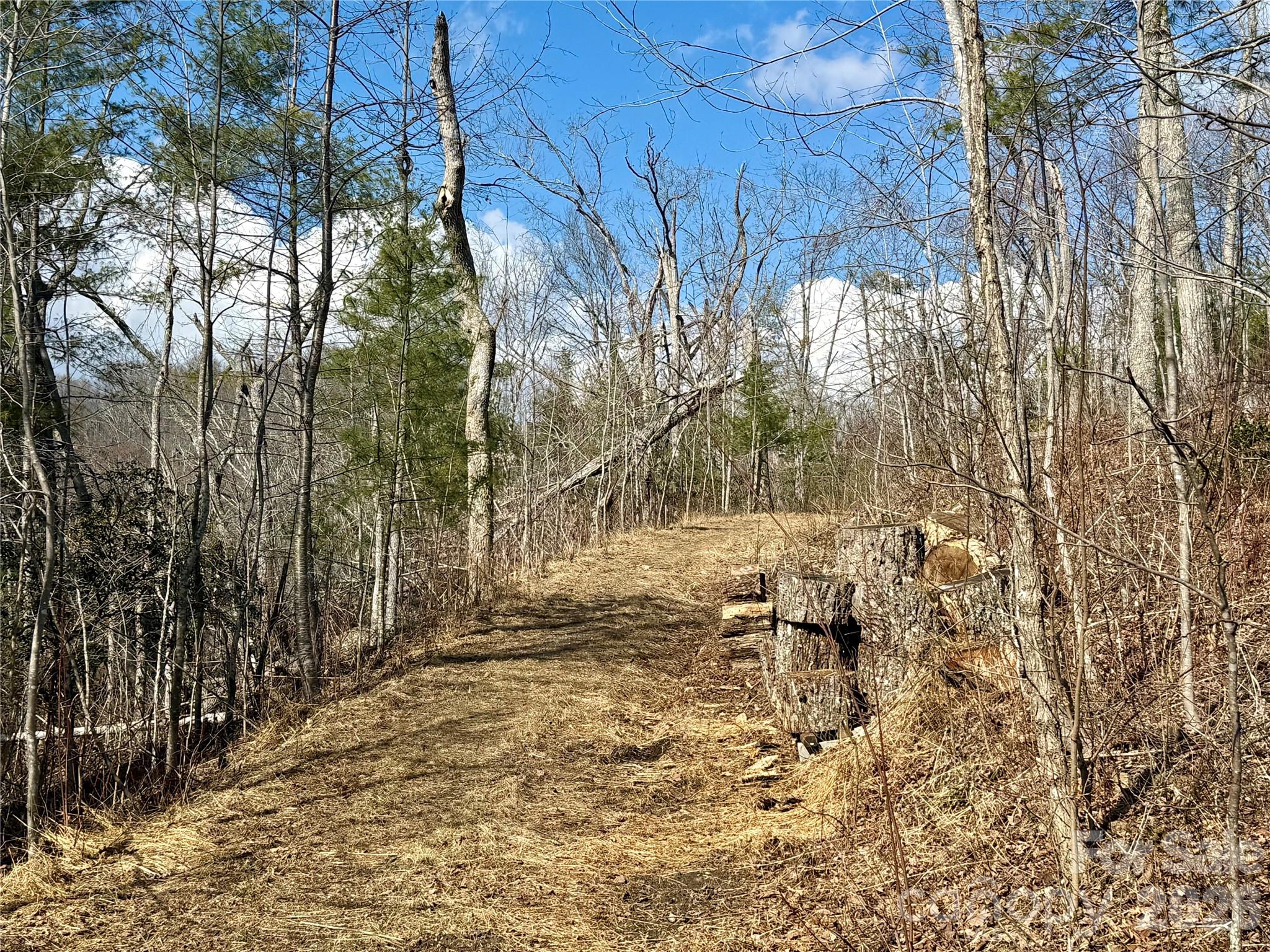 Fox Trails - Land