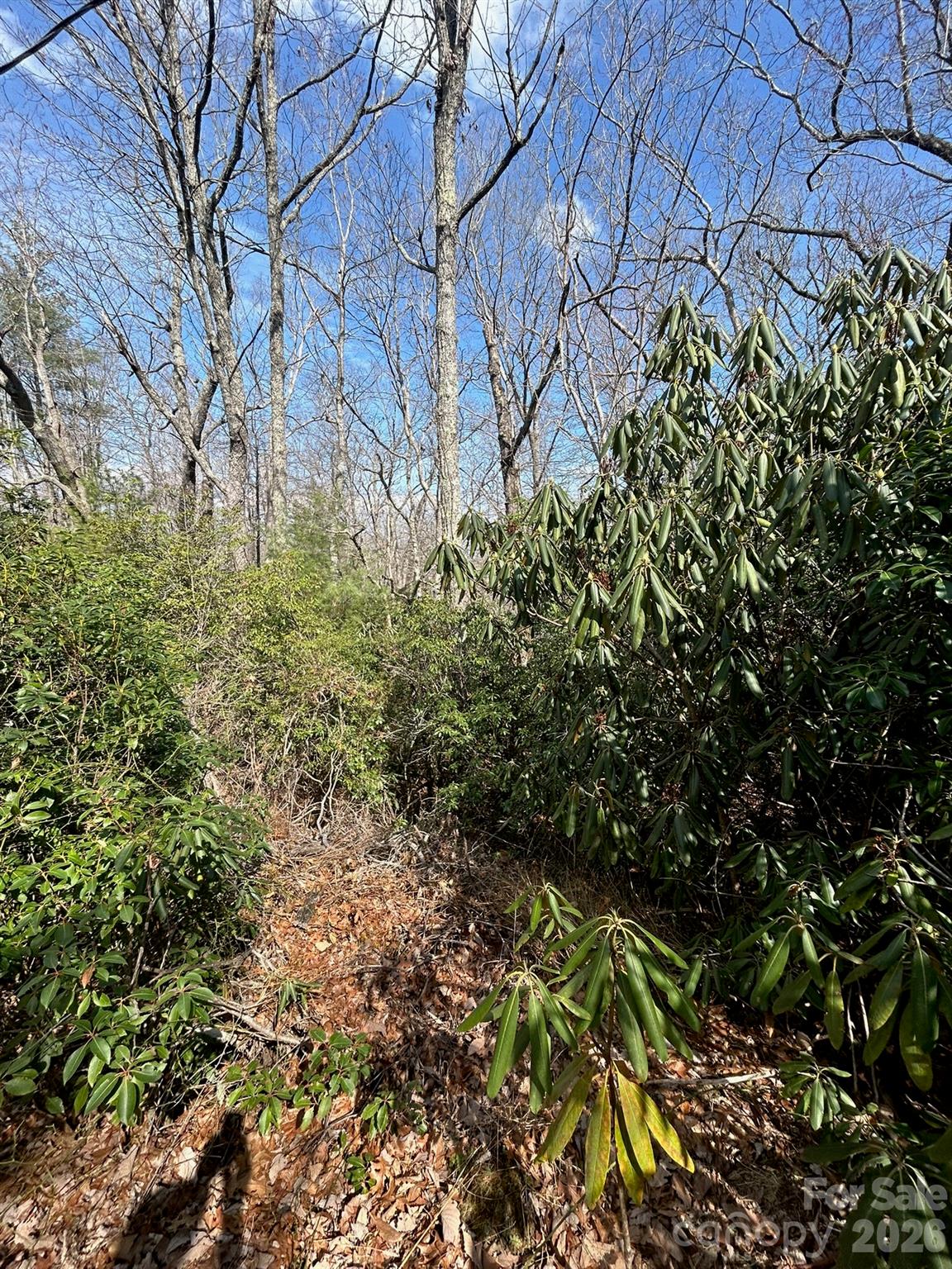 High Peak Lake Estates - Land