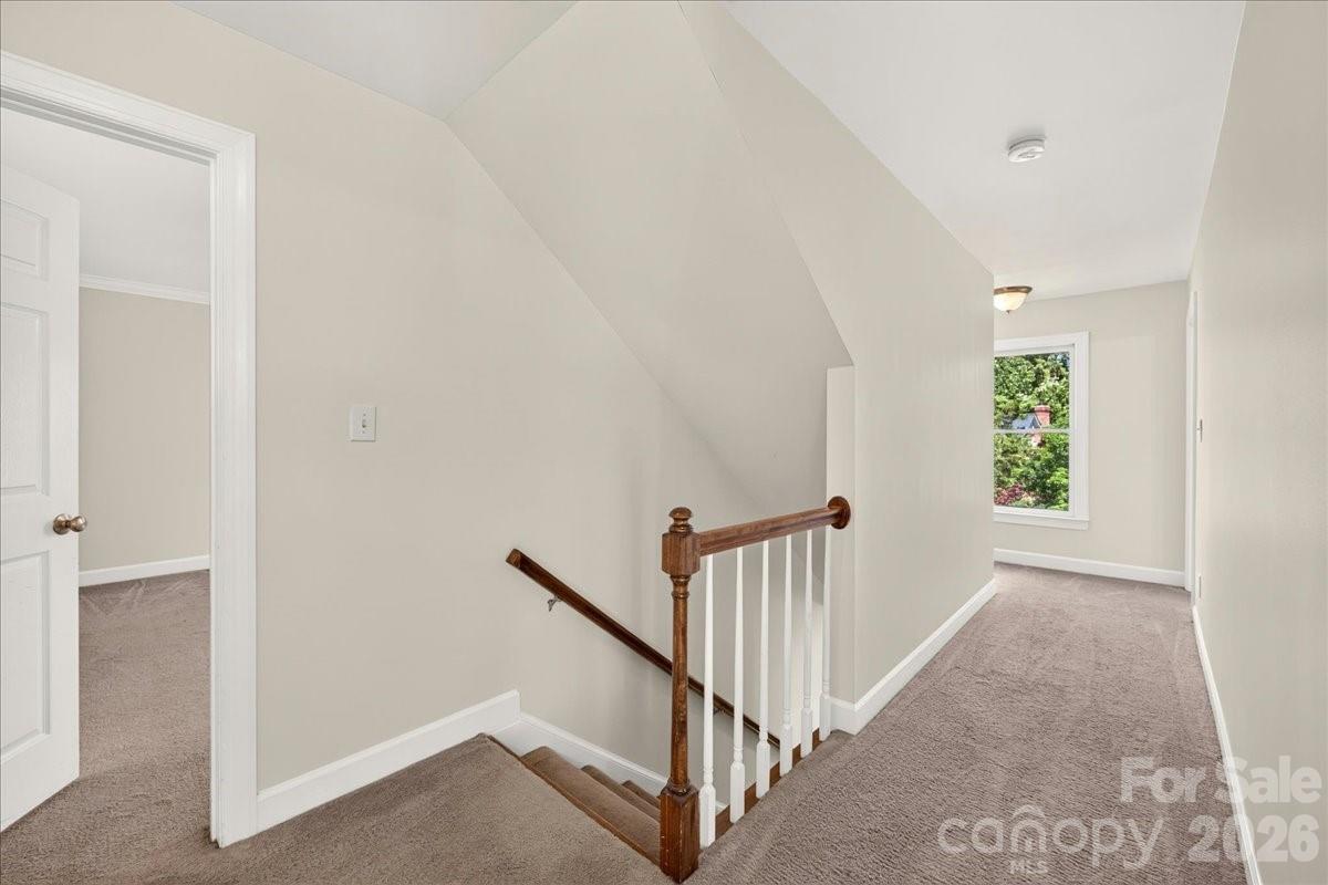 Foxglove - Residential