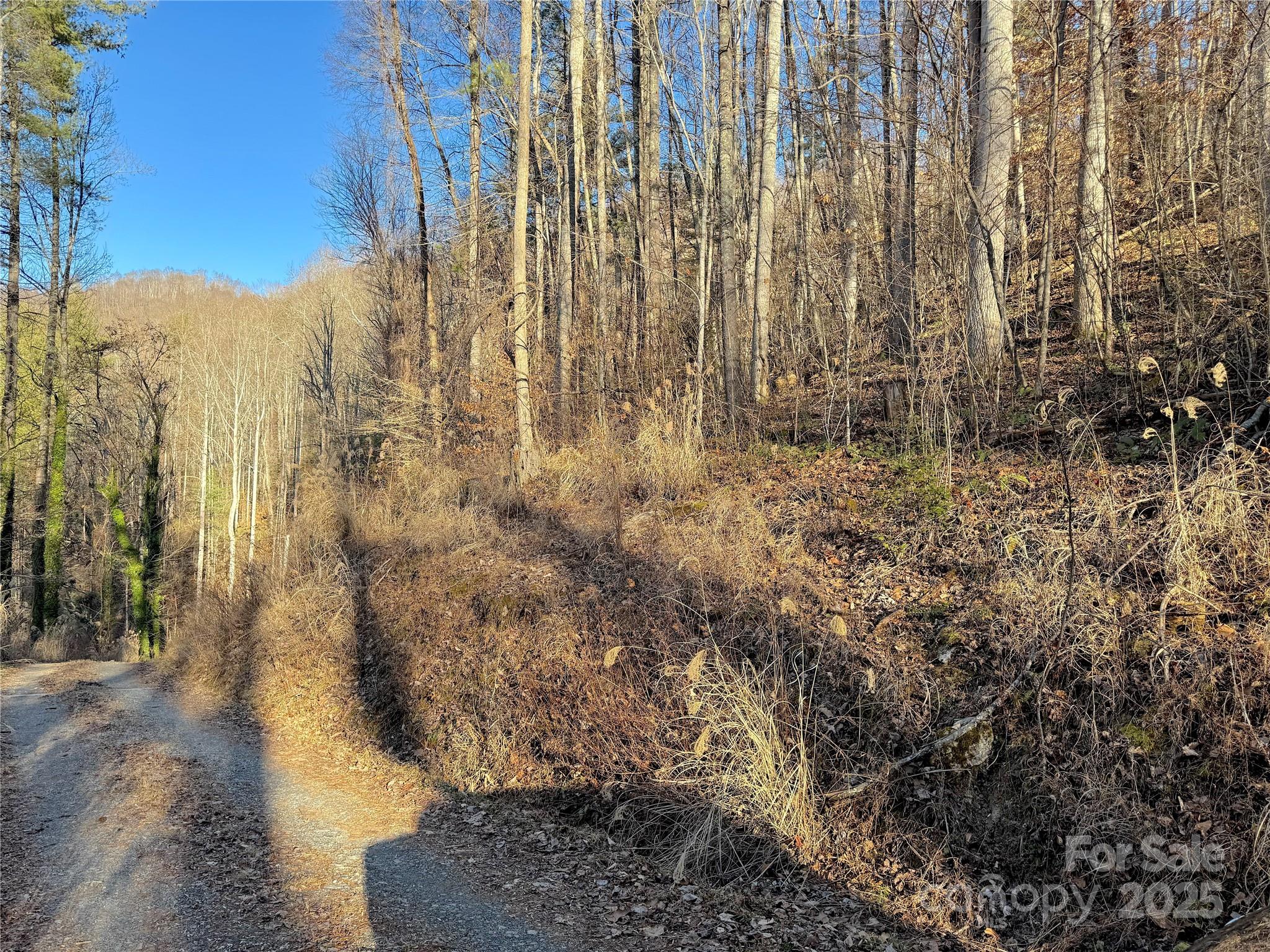Discover nearly 26 private, wooded acres tucked away off Timberside Drive in beautiful Mars Hill, NC. This mountain property offers many opportunities — whether you’re dreaming of a private estate, a mountain getaway, or simply your own natural retreat. Enjoy the peace and seclusion of nature while being just 10 minutes to I-26 and about 30 minutes to downtown Asheville. The land features rolling terrain with a mix of hardwoods and potential build sites surrounded by forested beauty. You have the freedom to create your ideal mountain lifestyle — build, hunt, hike, or just unwind in complete privacy.
