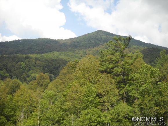 Own a piece of Heaven! This Large Private Tract of Land sits at the End of the Road in a small private subdivision, and has Beautiful Mountain Views! There is a wide, well established gravel road already in to the property. Electricity, Well, and a Storage Building are already in place as well. Just choose your building site or sites and start building your 'Dream Home'!