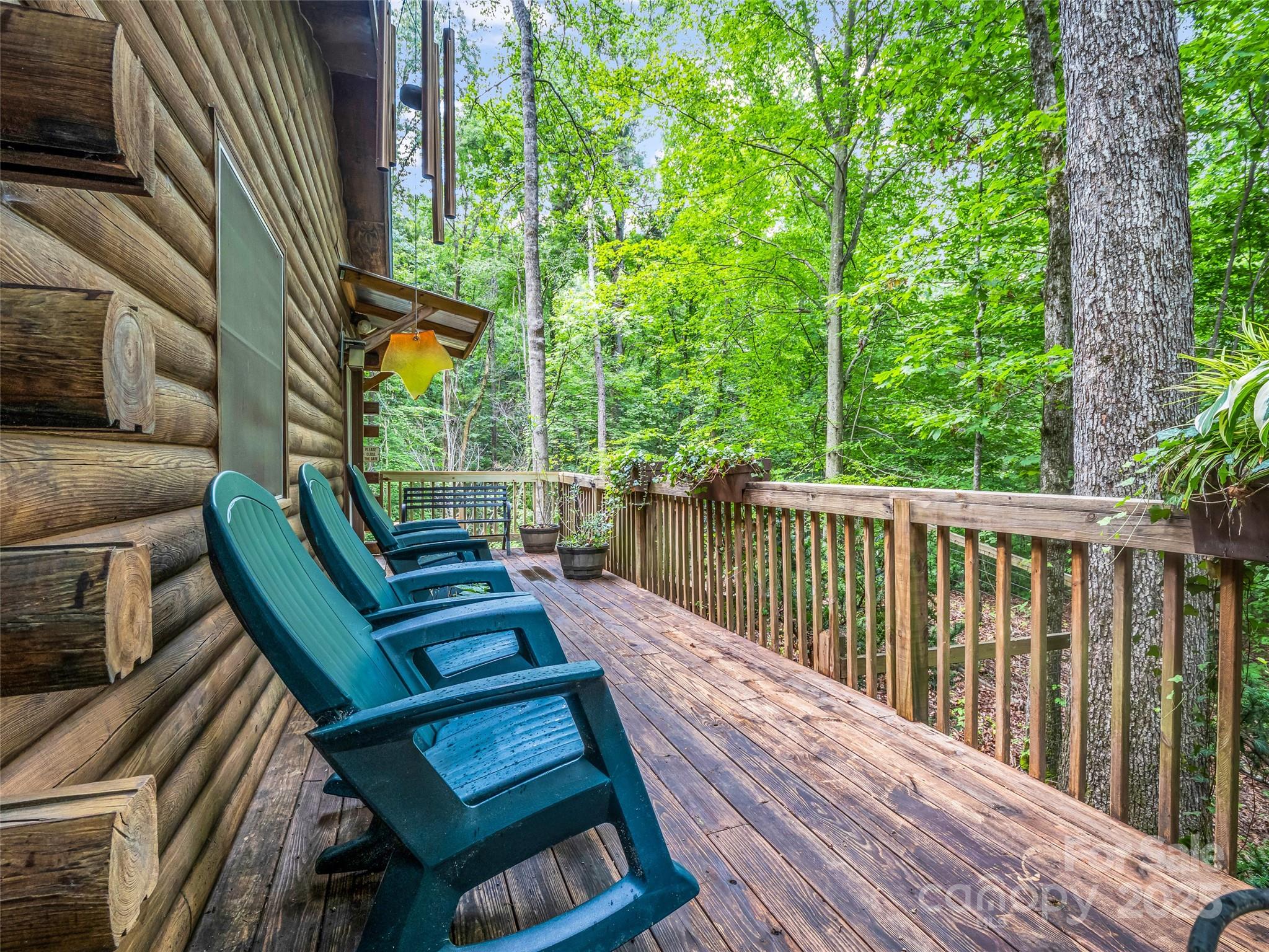 Rumbling Bald on Lake Lure - Residential