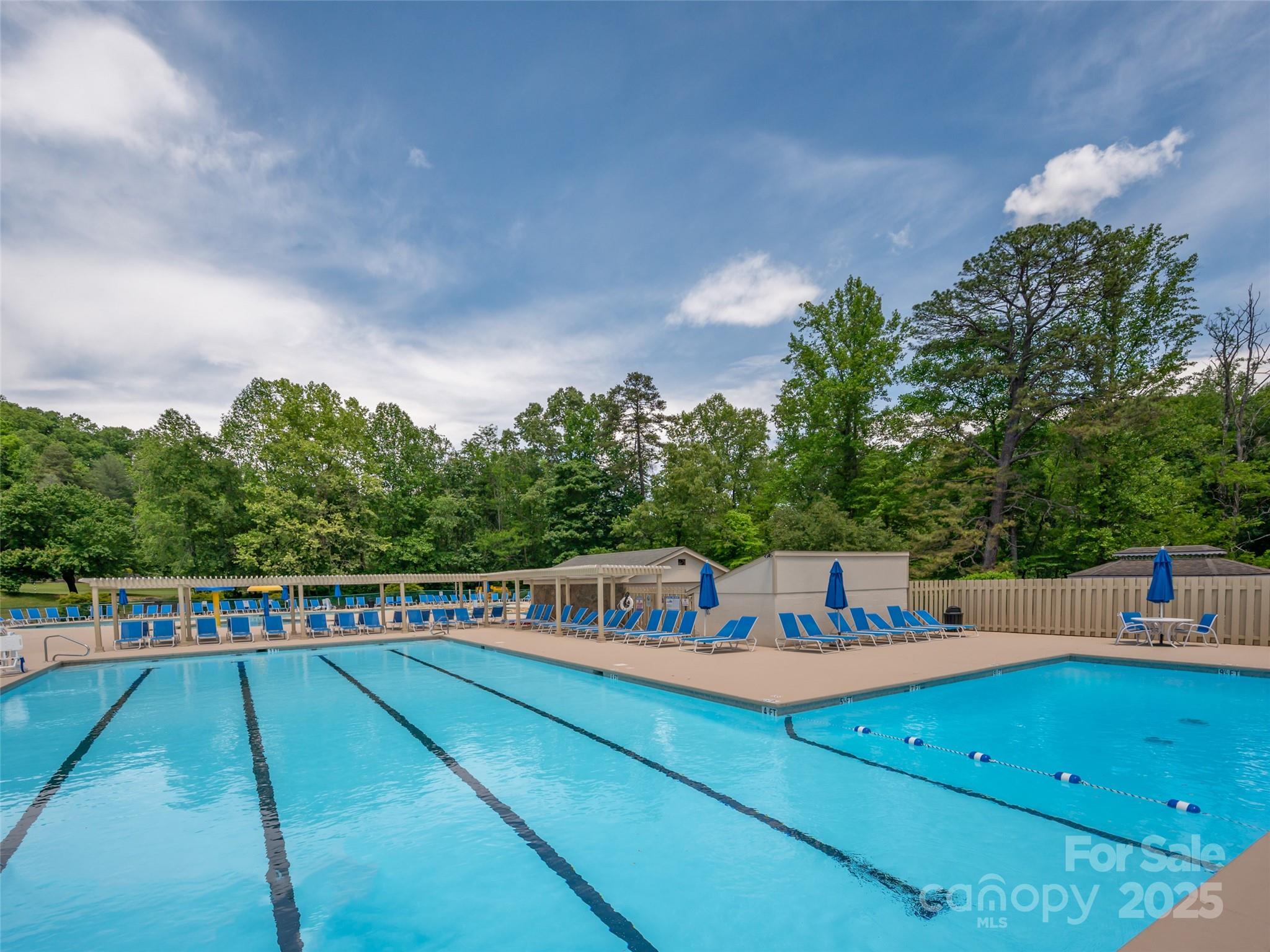Rumbling Bald on Lake Lure - Residential