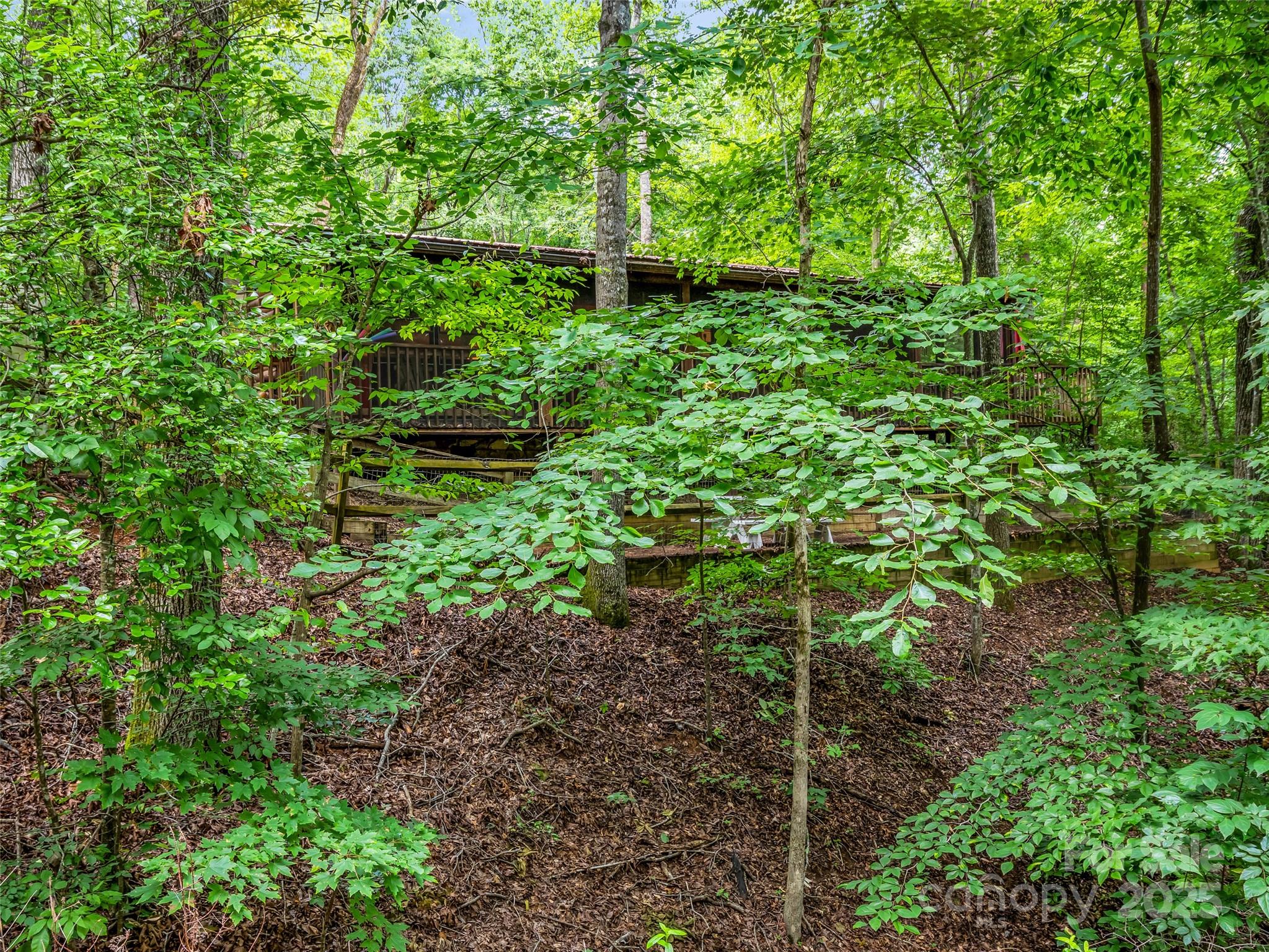 Rumbling Bald on Lake Lure - Residential
