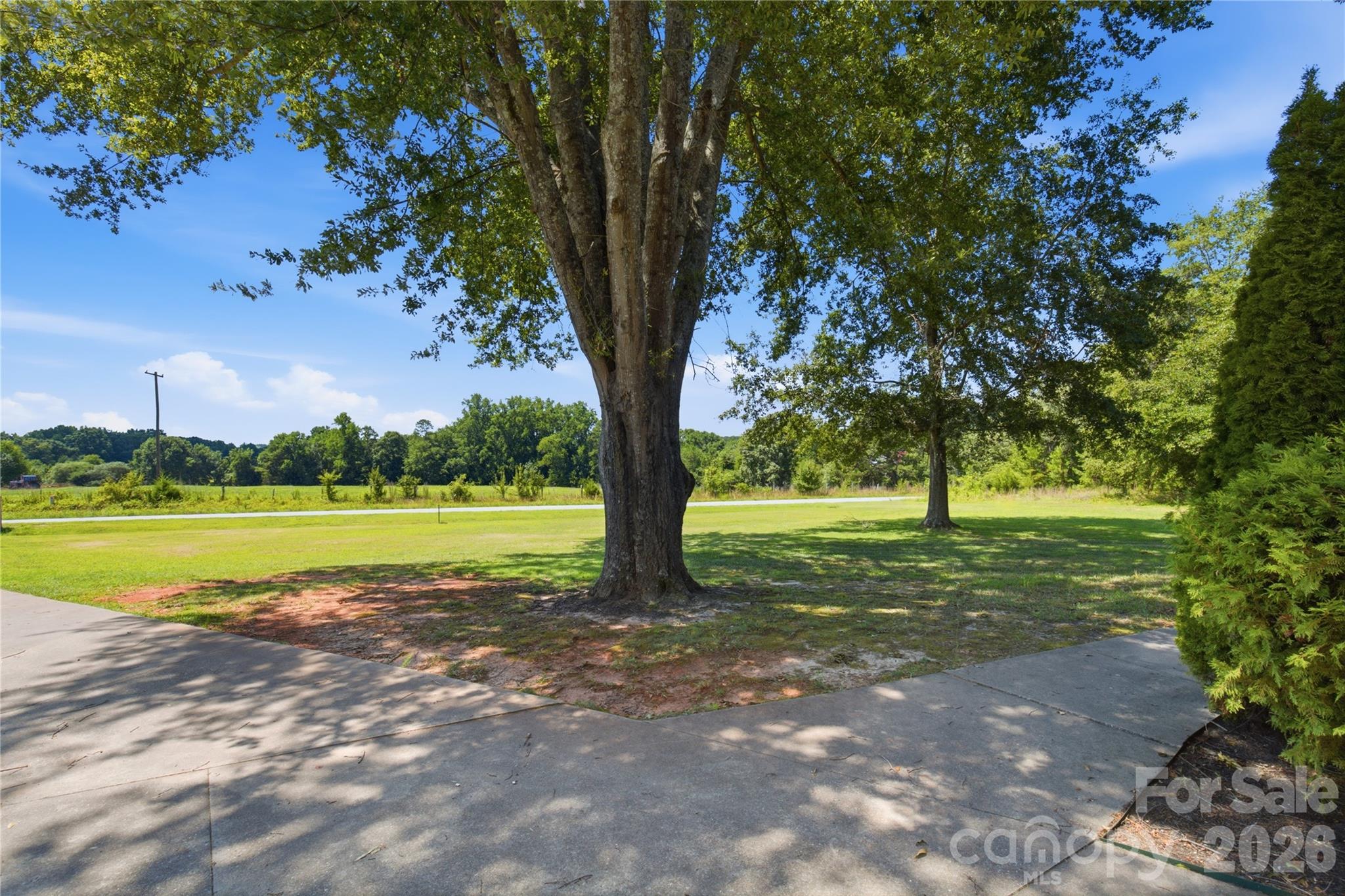 Pin Oak - Residential