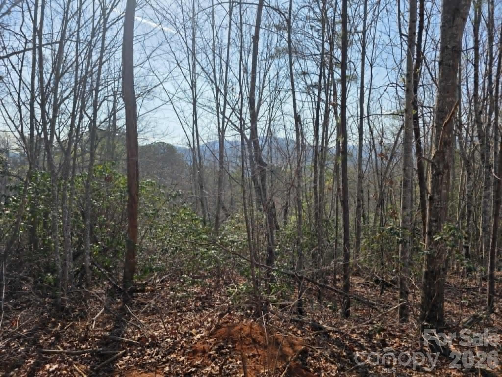 Welcome to Little Toe River, a premier new community in Old Fort! Lot 8 is a stunning upper-elevation homesite offering the perfect canvas for your mountain retreat, complete with distant long-range views. Enjoy the peace of nature without sacrificing convenience—you’re just an 8-minute drive from downtown Old Fort’s vibrant breweries, local dining, and shopping. With world-class hiking and biking trails nearly at your doorstep and easy access to I-40, this lot offers the ultimate Western NC lifestyle.