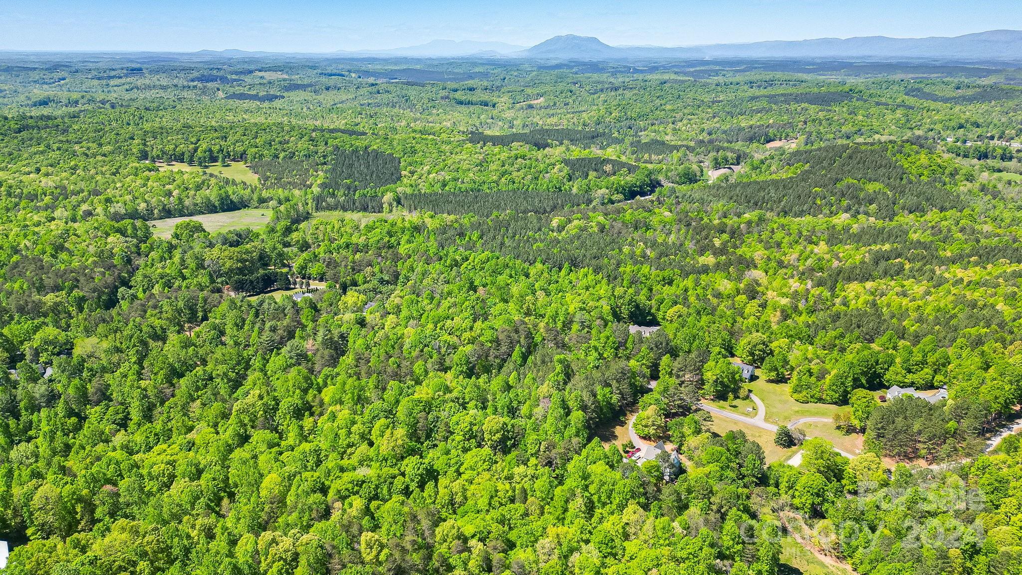 Wilkins Forest - Land