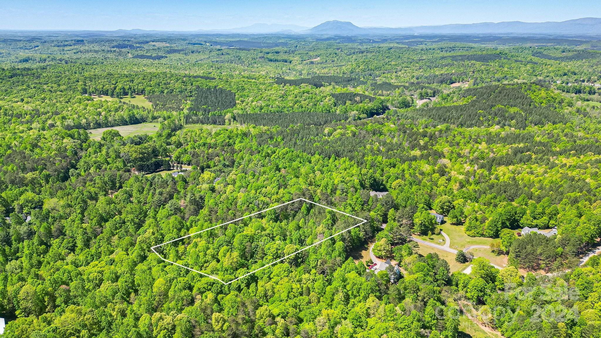 Wilkins Forest - Land