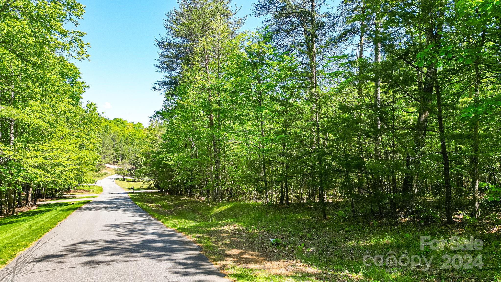 Wilkins Forest - Land