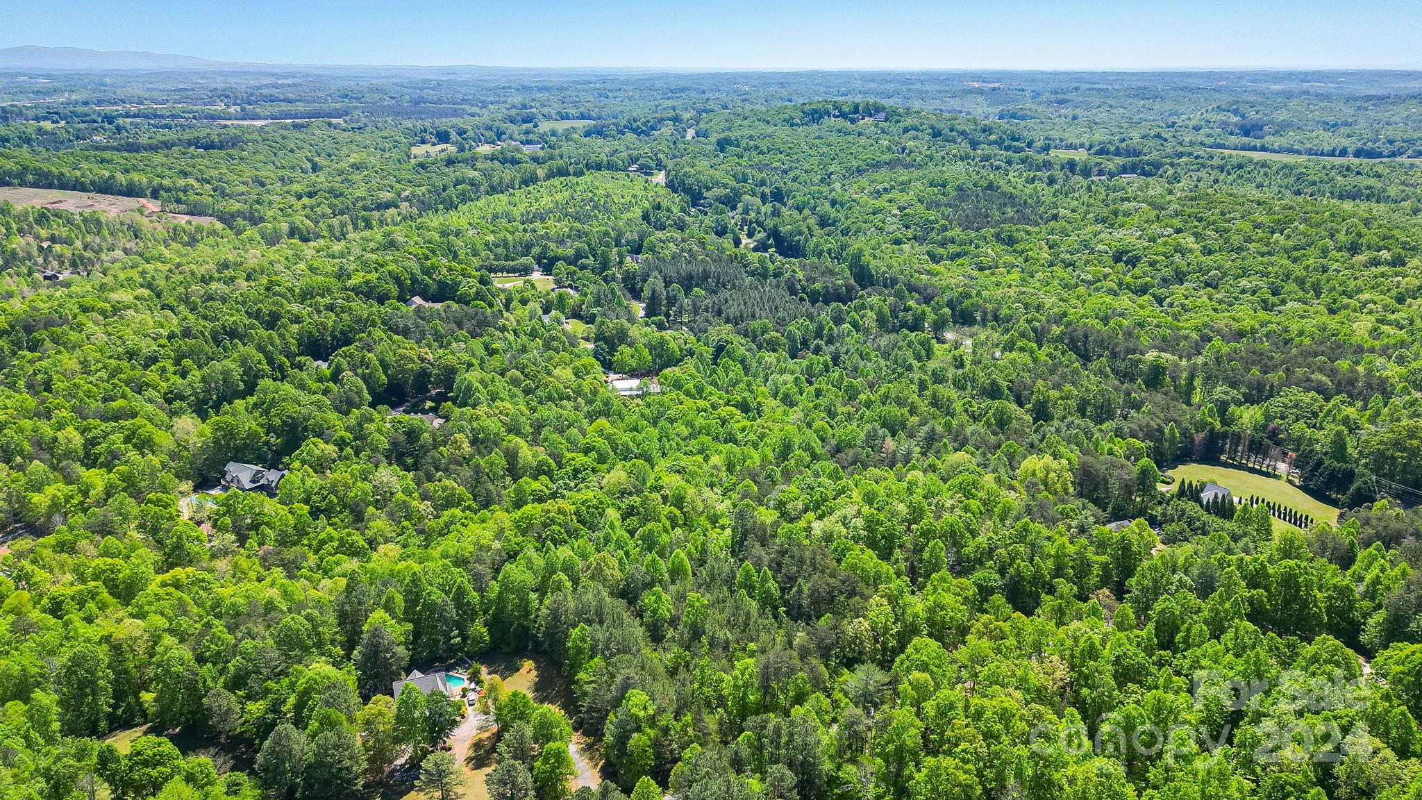 Wilkins Forest - Land