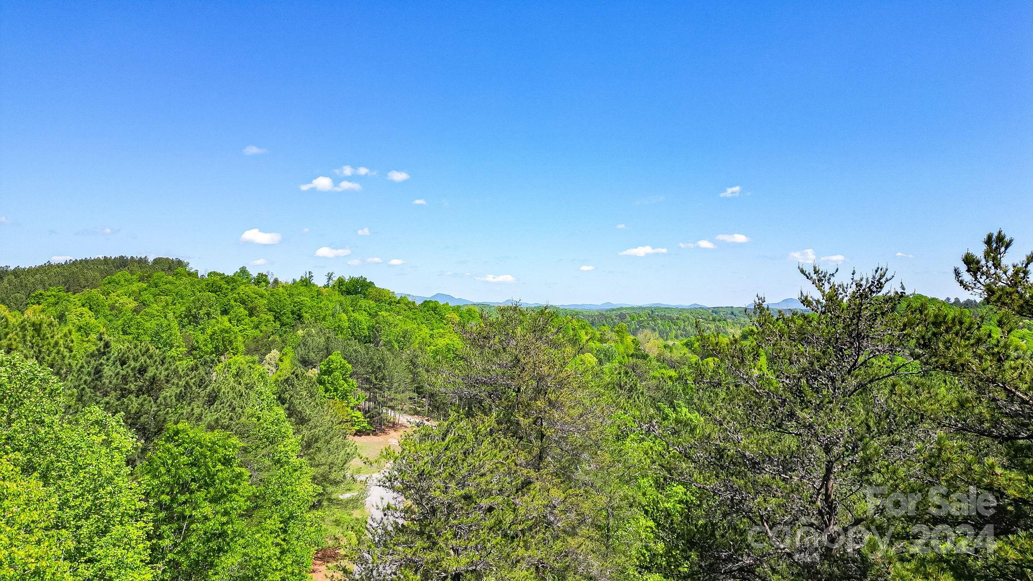 Wilkins Forest - Land