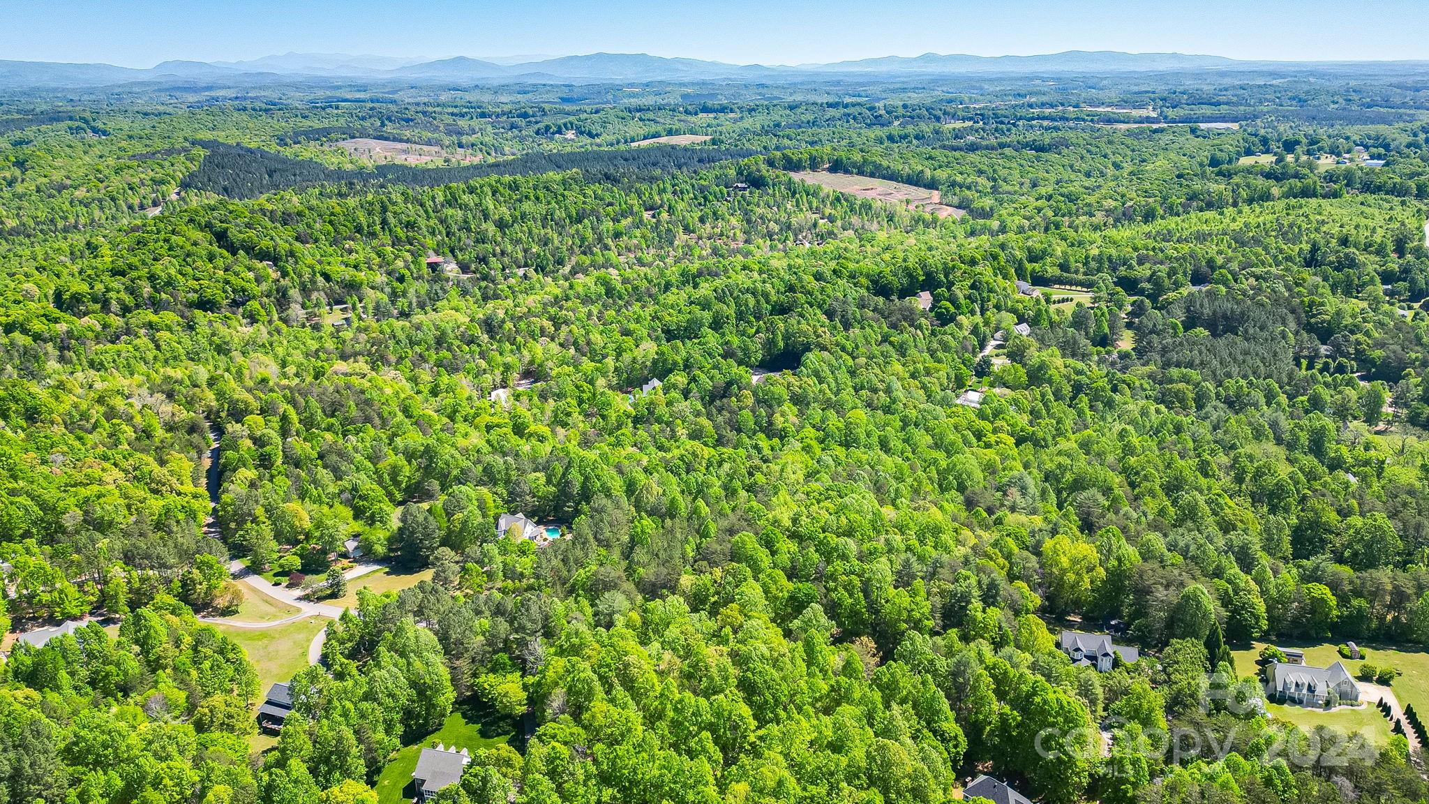 Wilkins Forest - Land