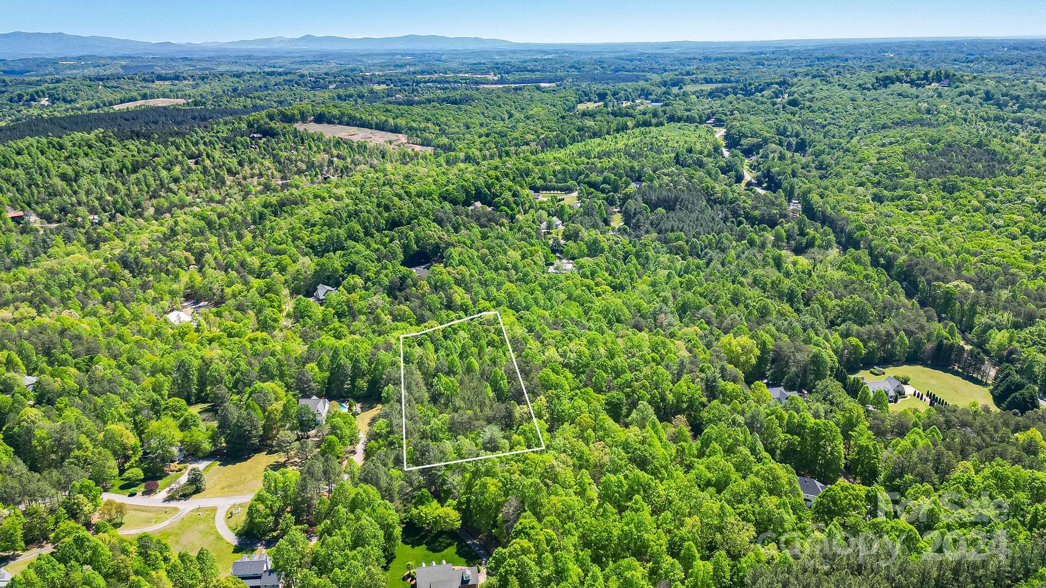 Wilkins Forest - Land