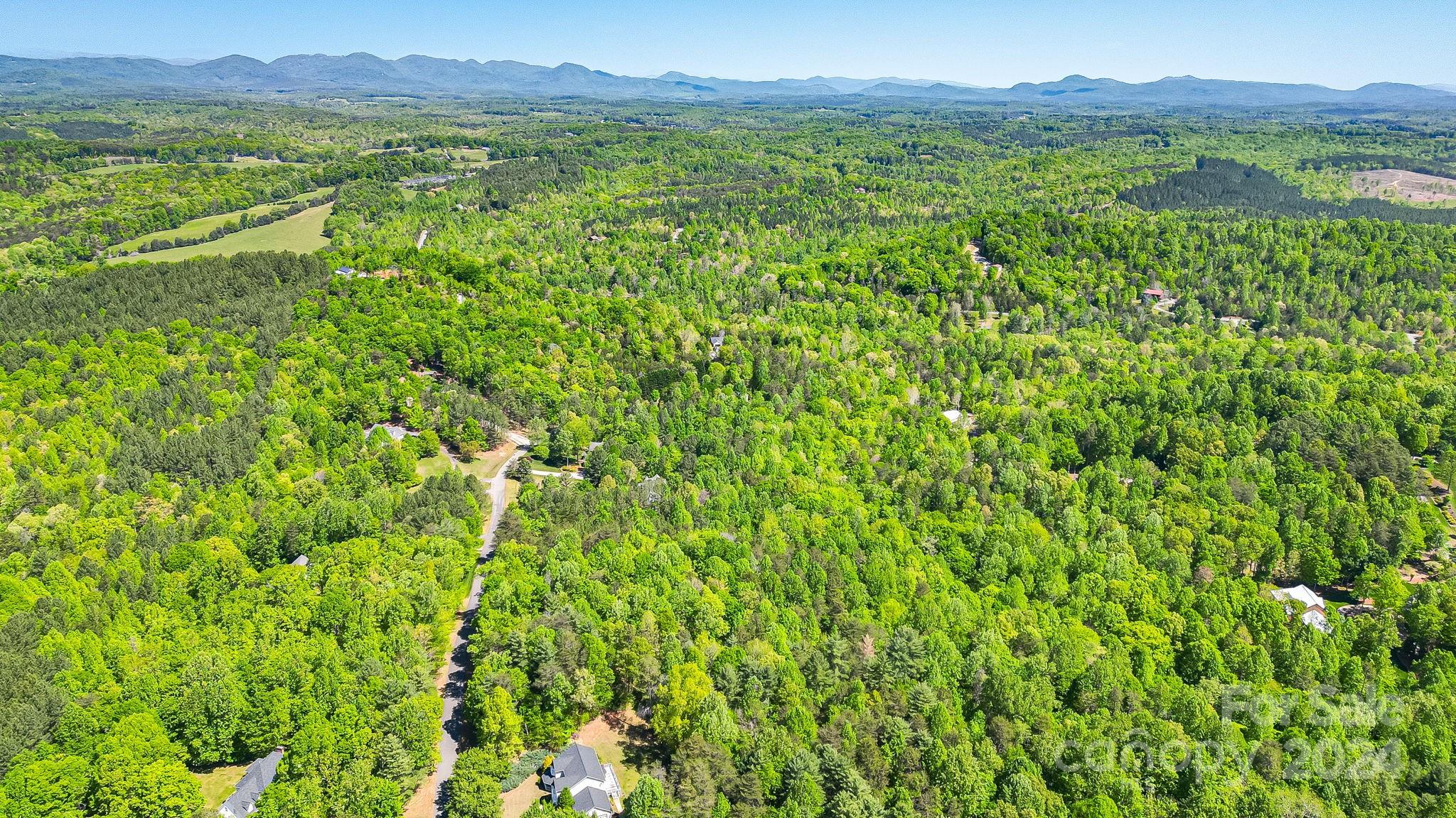 Wilkins Forest - Land