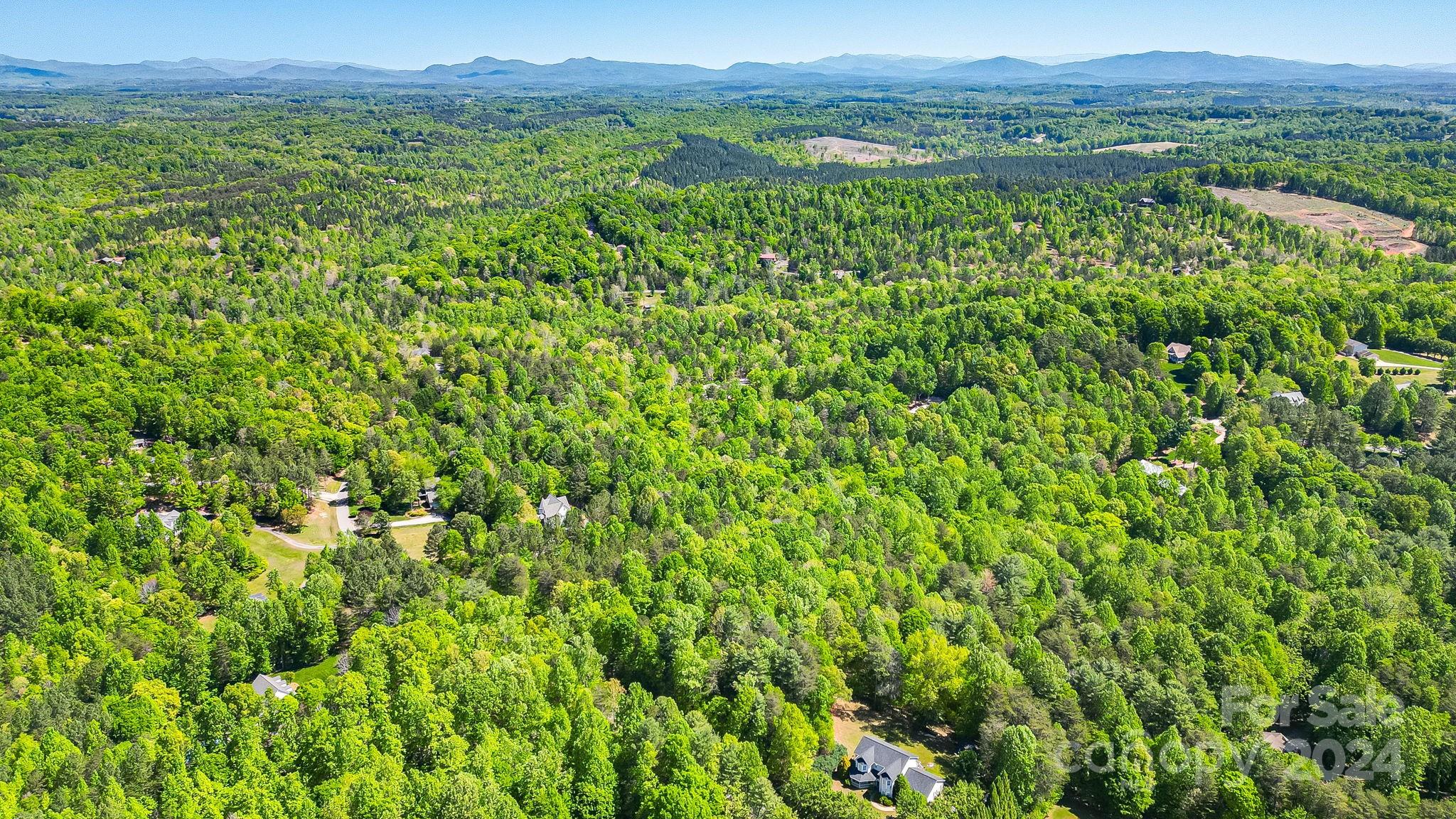 Wilkins Forest - Land