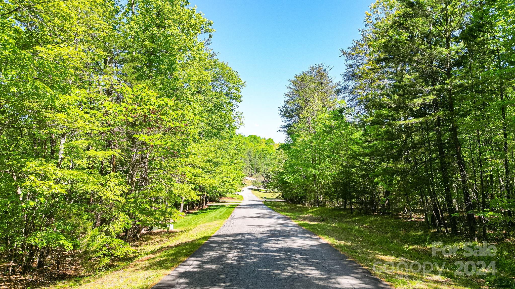 Discover the perfect canvas for your home with this stunning nearly 3 acre lot. Near the quaint town of Rutherfordton, this gorgeous property in Wilkins Forest Subdivision is it! Build your dream home in this private and tranquil gently sloping, forested lot. Don't miss this rare find!