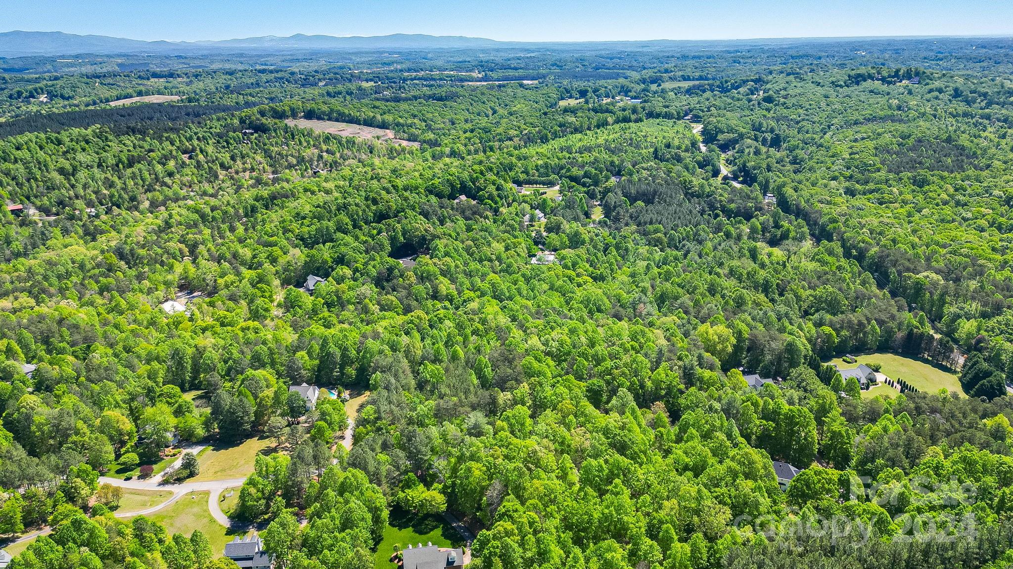 Wilkins Forest - Land