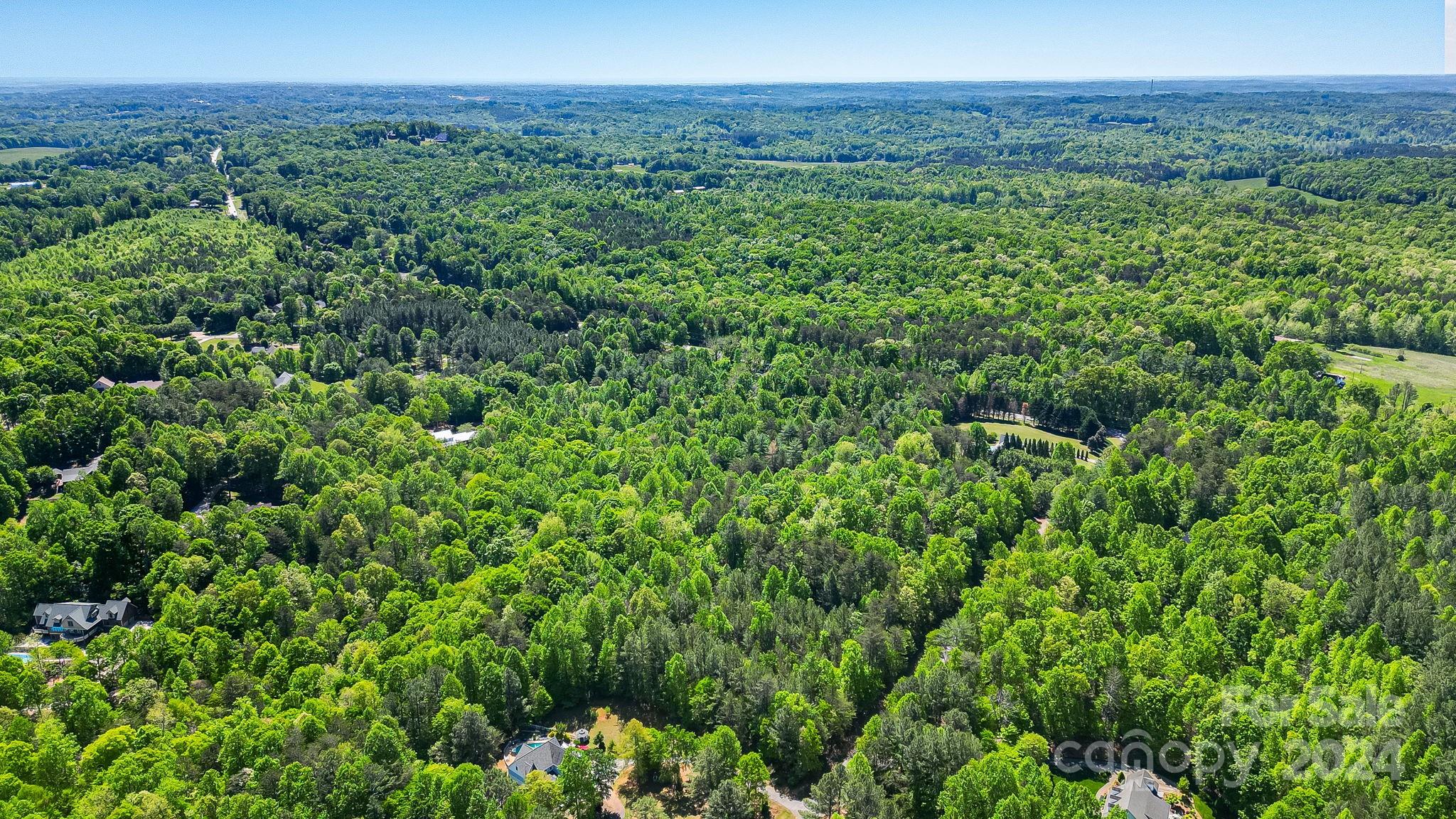 Wilkins Forest - Land