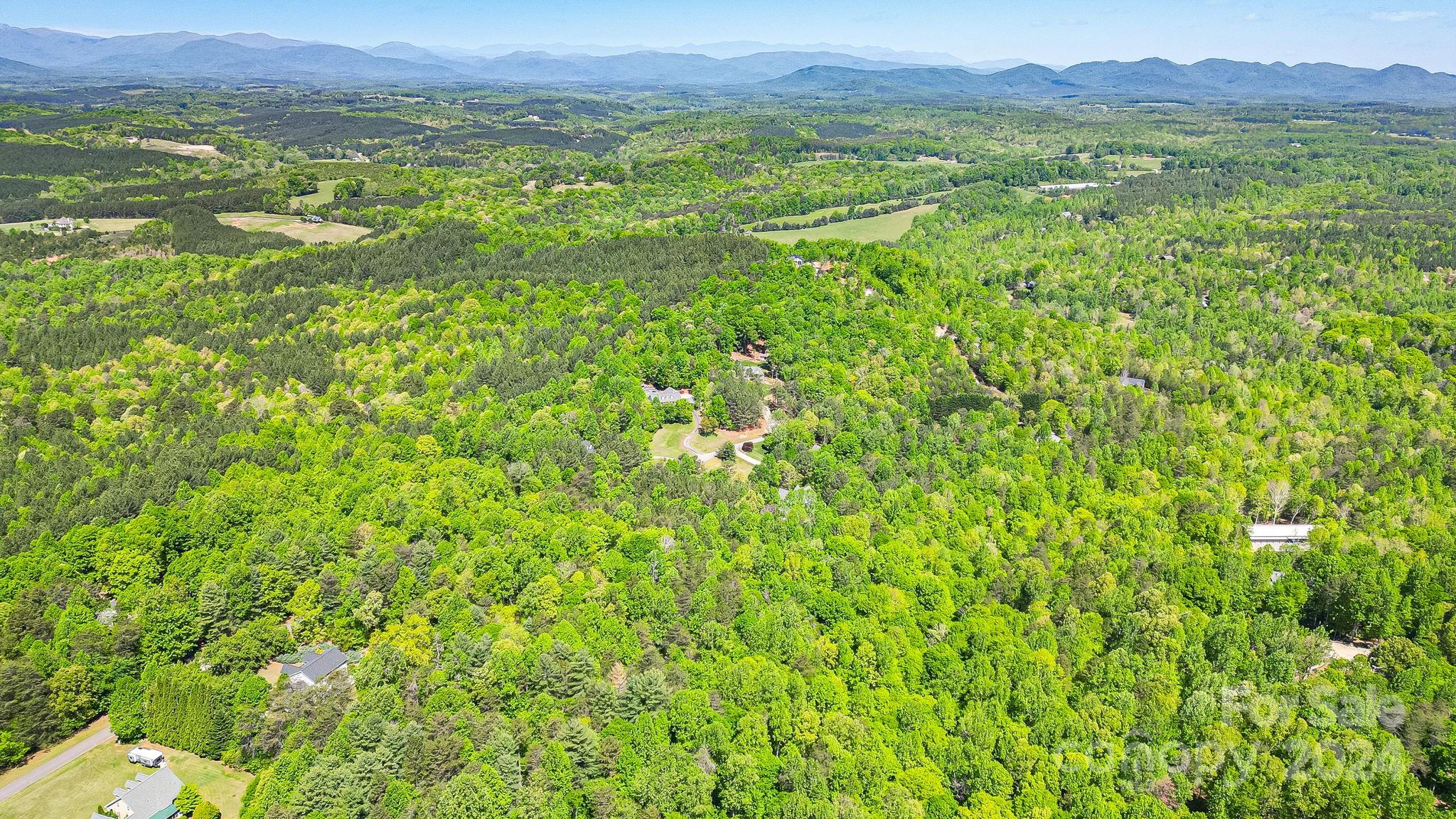 Wilkins Forest - Land