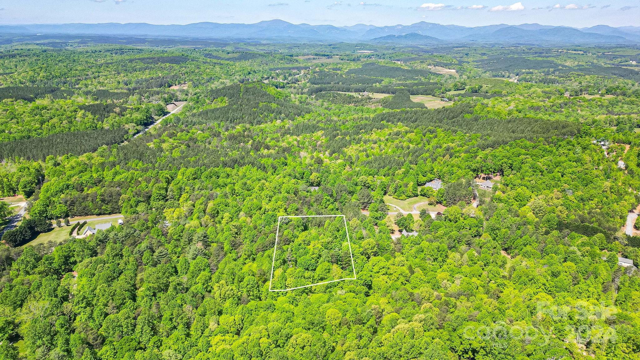Wilkins Forest - Land
