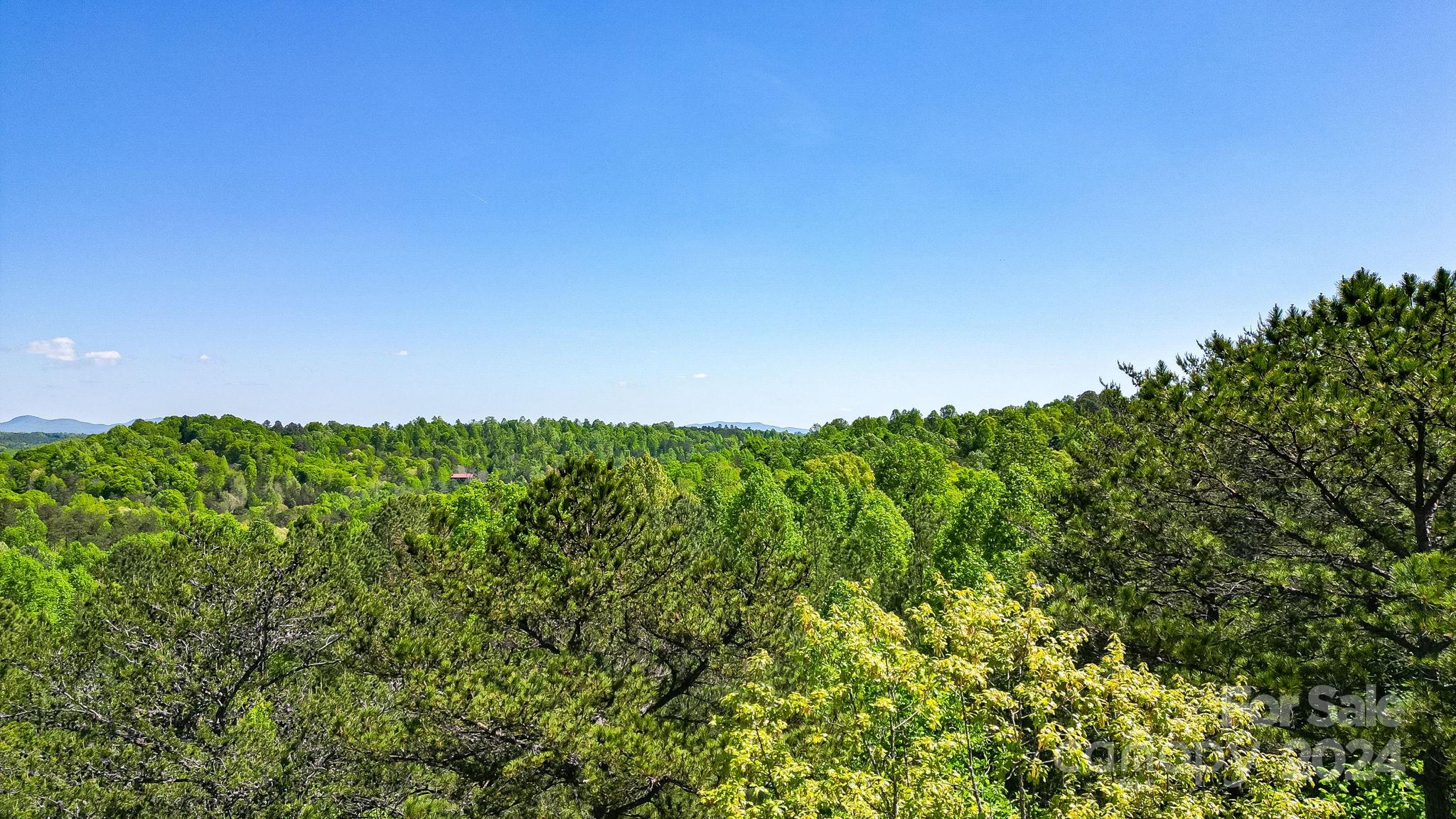 Wilkins Forest - Land