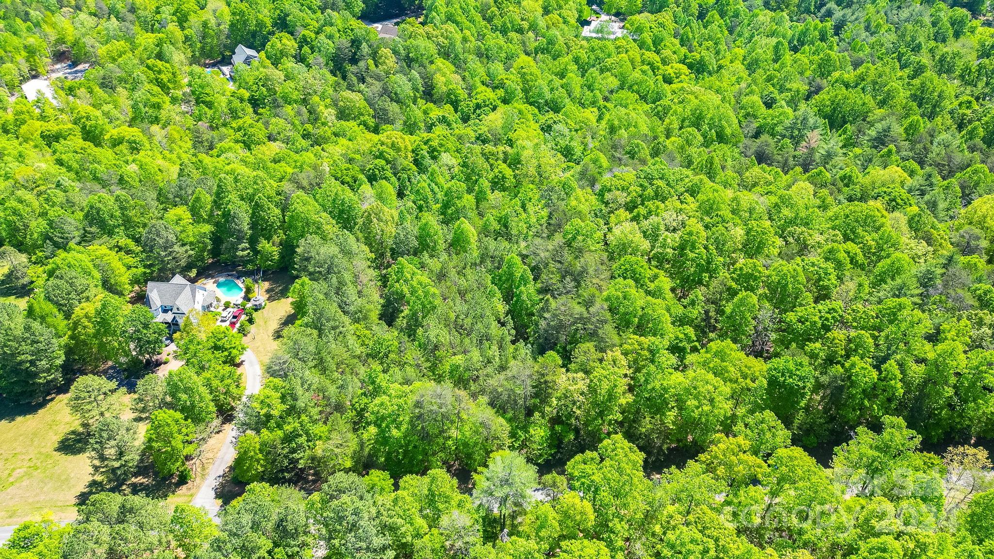 Wilkins Forest - Land