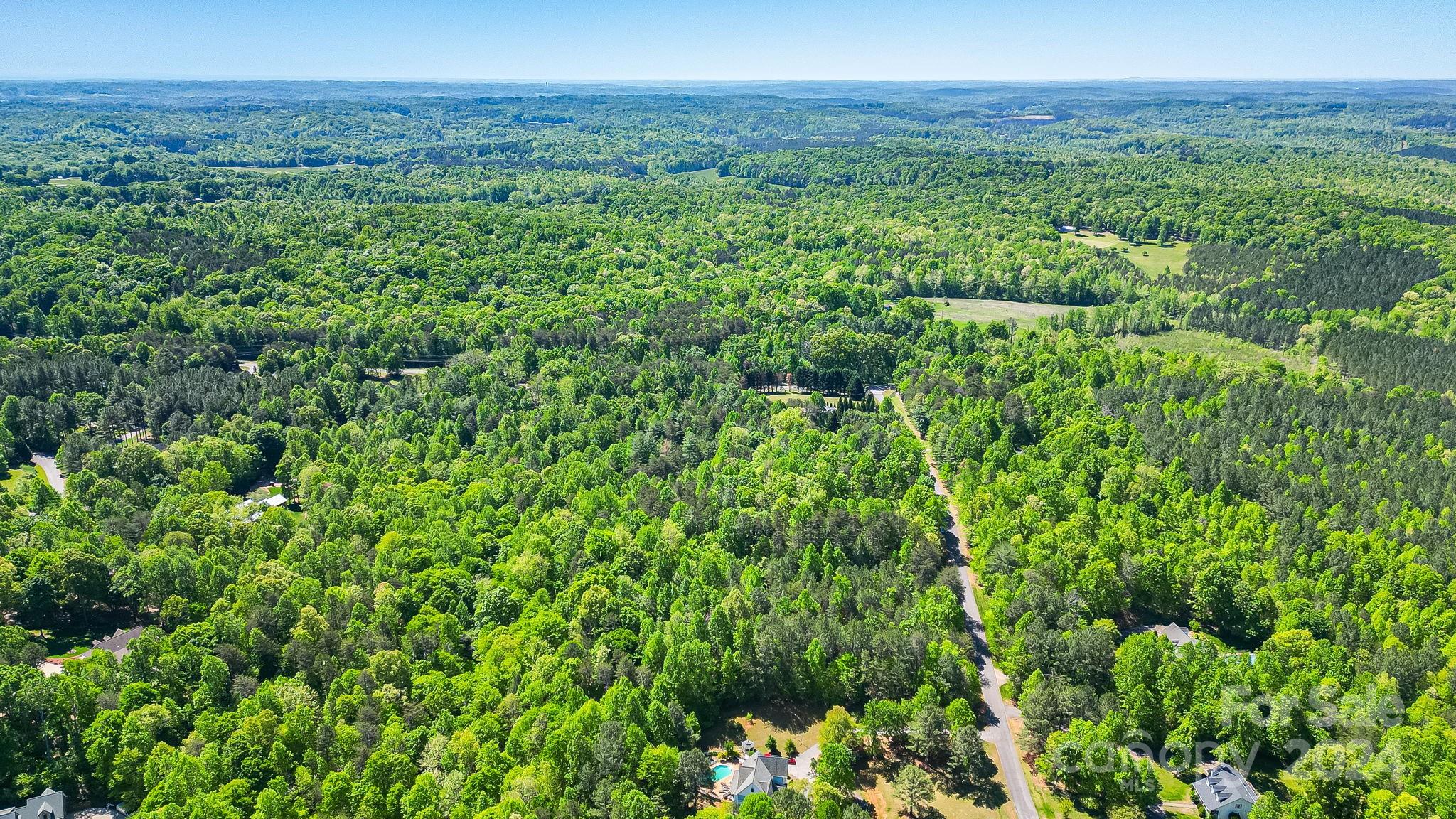 Wilkins Forest - Land