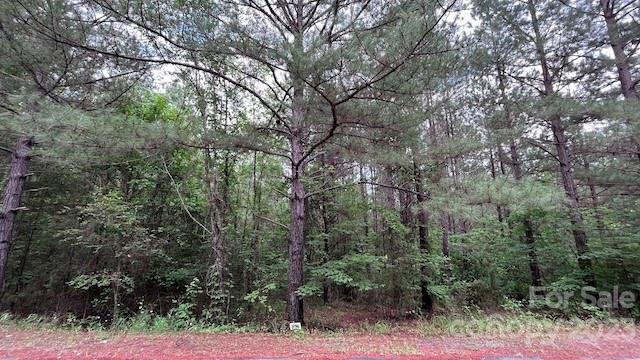 Clearwater Creek - Land