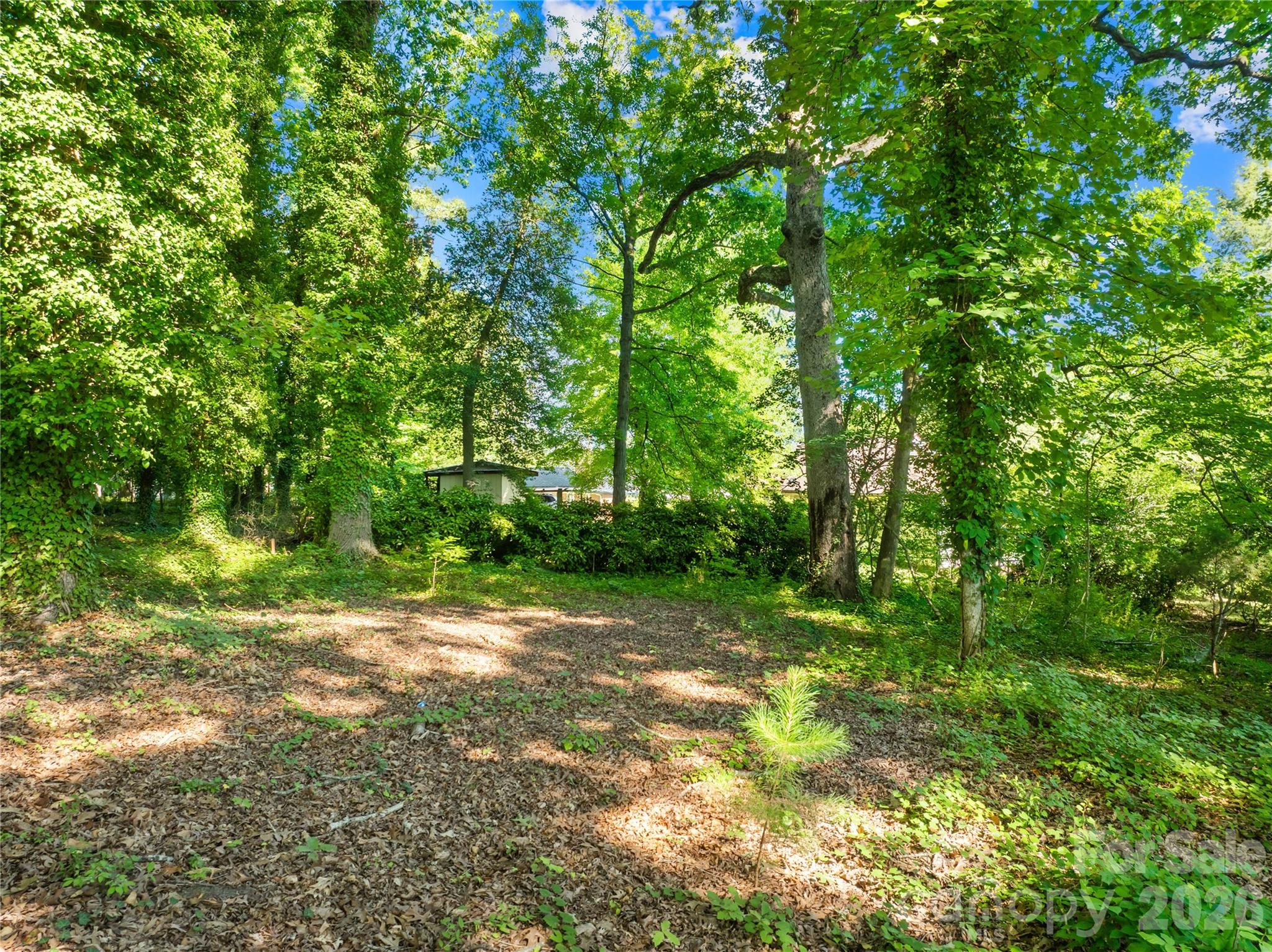 Catawba Heights - Land