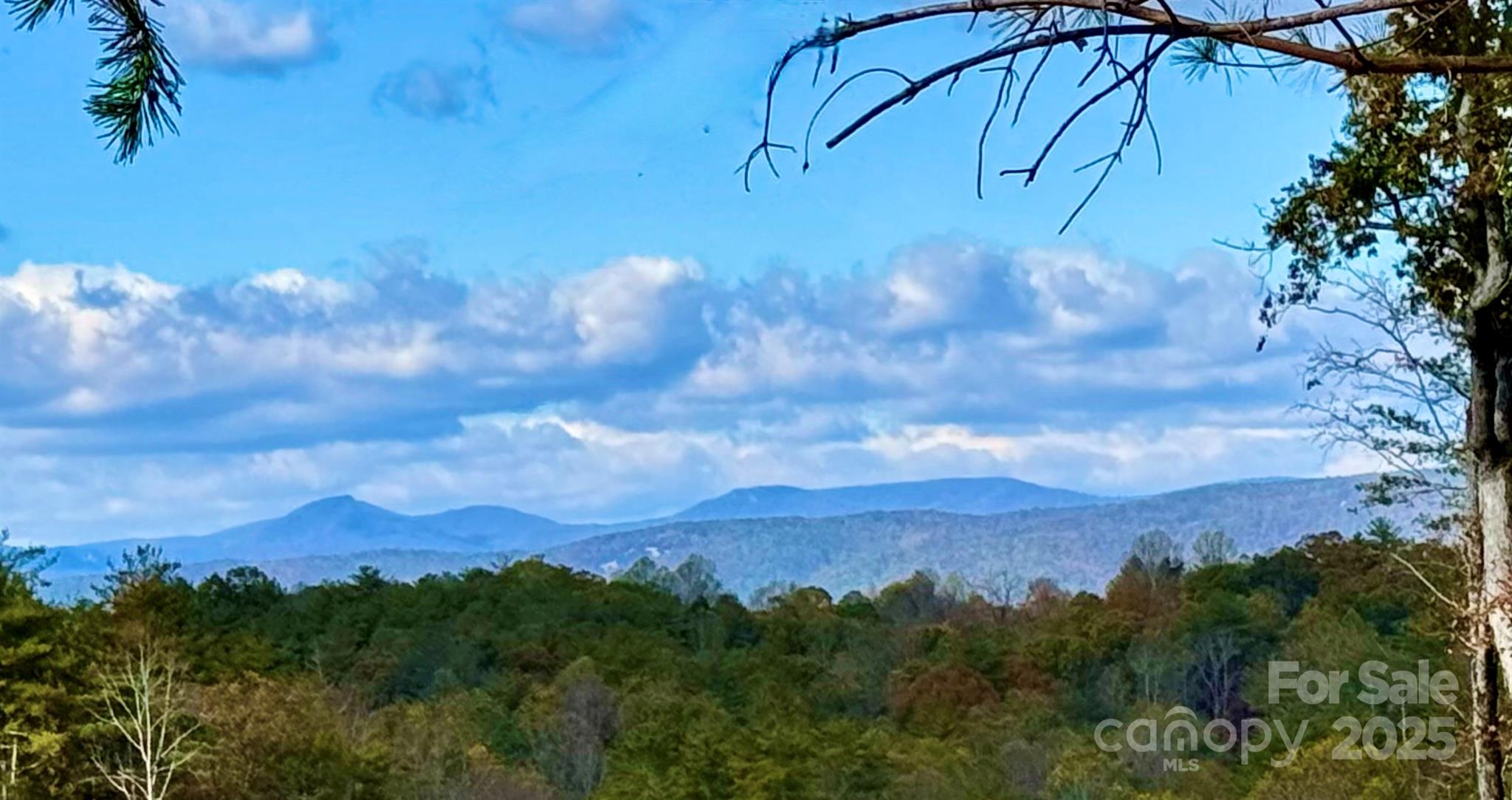 The Coves Mountain River Club - Land