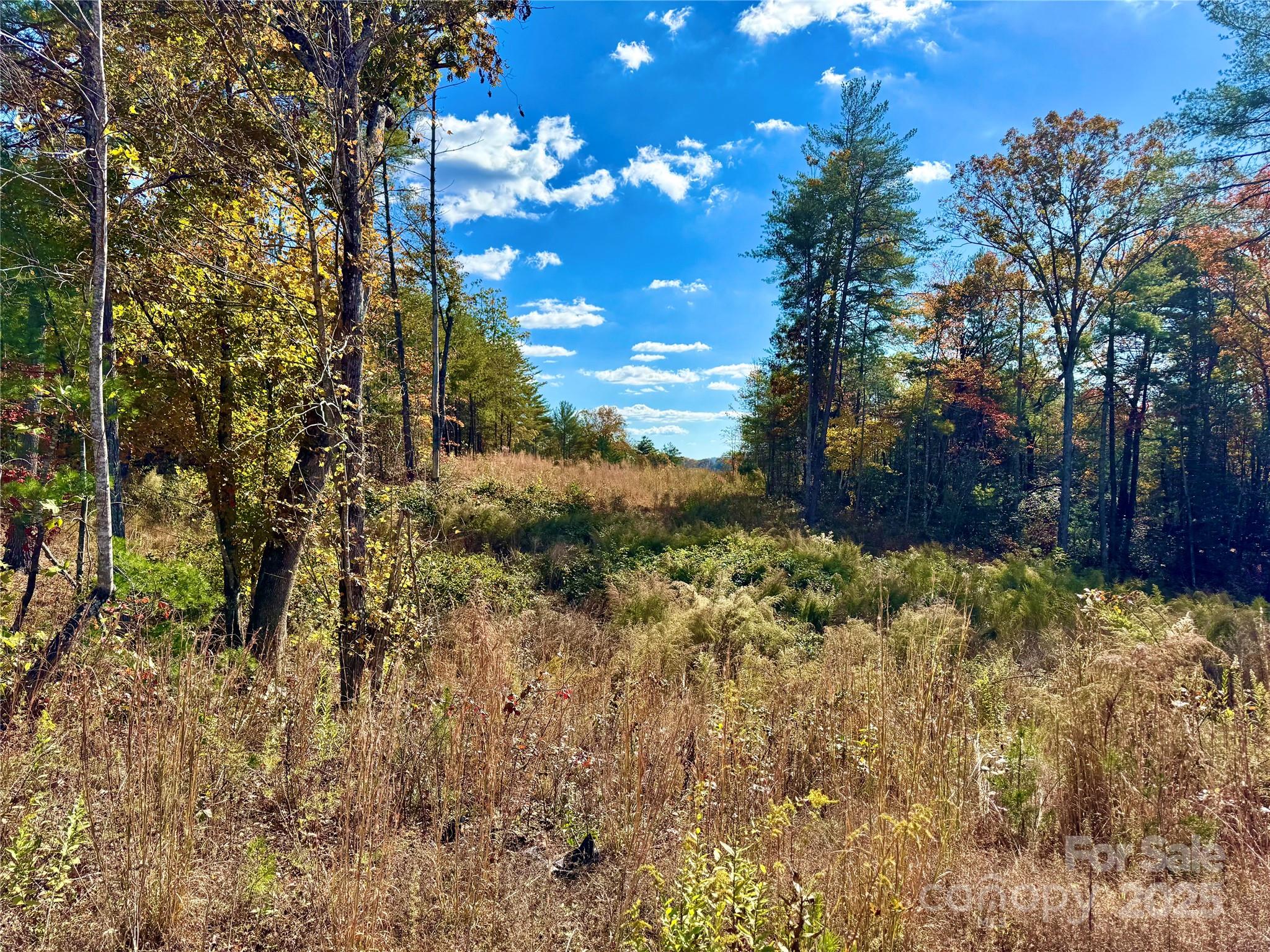 The Coves Mountain River Club - Land